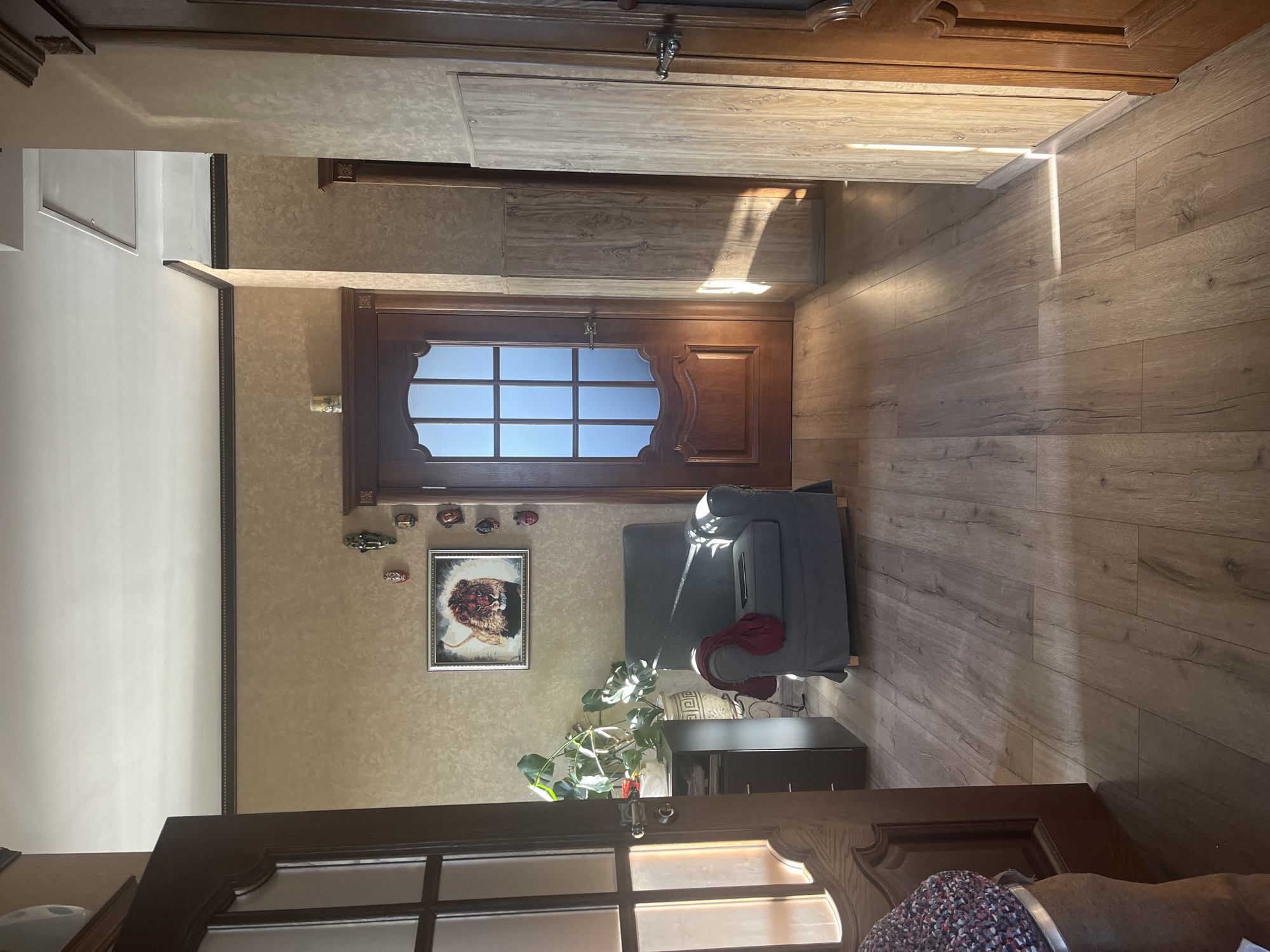 The image shows an interior hallway or entryway, with wood-paneled walls and a wood-paneled floor. Sunlight streams in from the right side of the image, casting long shadows. There is a dark gray armchair with a burgundy throw draped over it, positioned in the center of the frame. To the left of the armchair is a black cabinet with a potted plant on top. Above the plant, on the wall, is a framed picture of a lion. A dark wood door with a frosted glass insert is visible on the left, and another dark wood door is on the right. The scene appears to be a domestic interior. The location is specified as Vladimirovka, Russia.