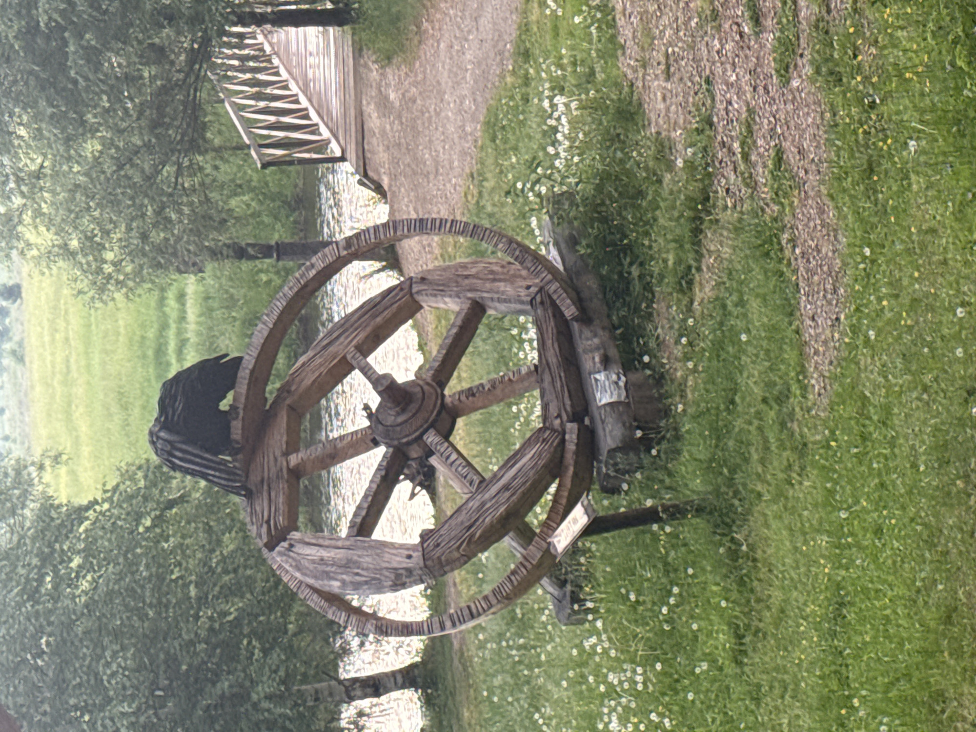 A weathered, wooden, spherical wheel structure stands in a grassy area with scattered white wildflowers. A dark, feather-like object, possibly a sculpture or natural debris, rests atop the wheel. To the right, a wooden footbridge with white railings crosses a body of water. Trees with green foliage flank the scene, and a dirt path leads towards the bridge. The background consists of a green field under an overcast sky. The location is identified as Savvateyevka, Russia.