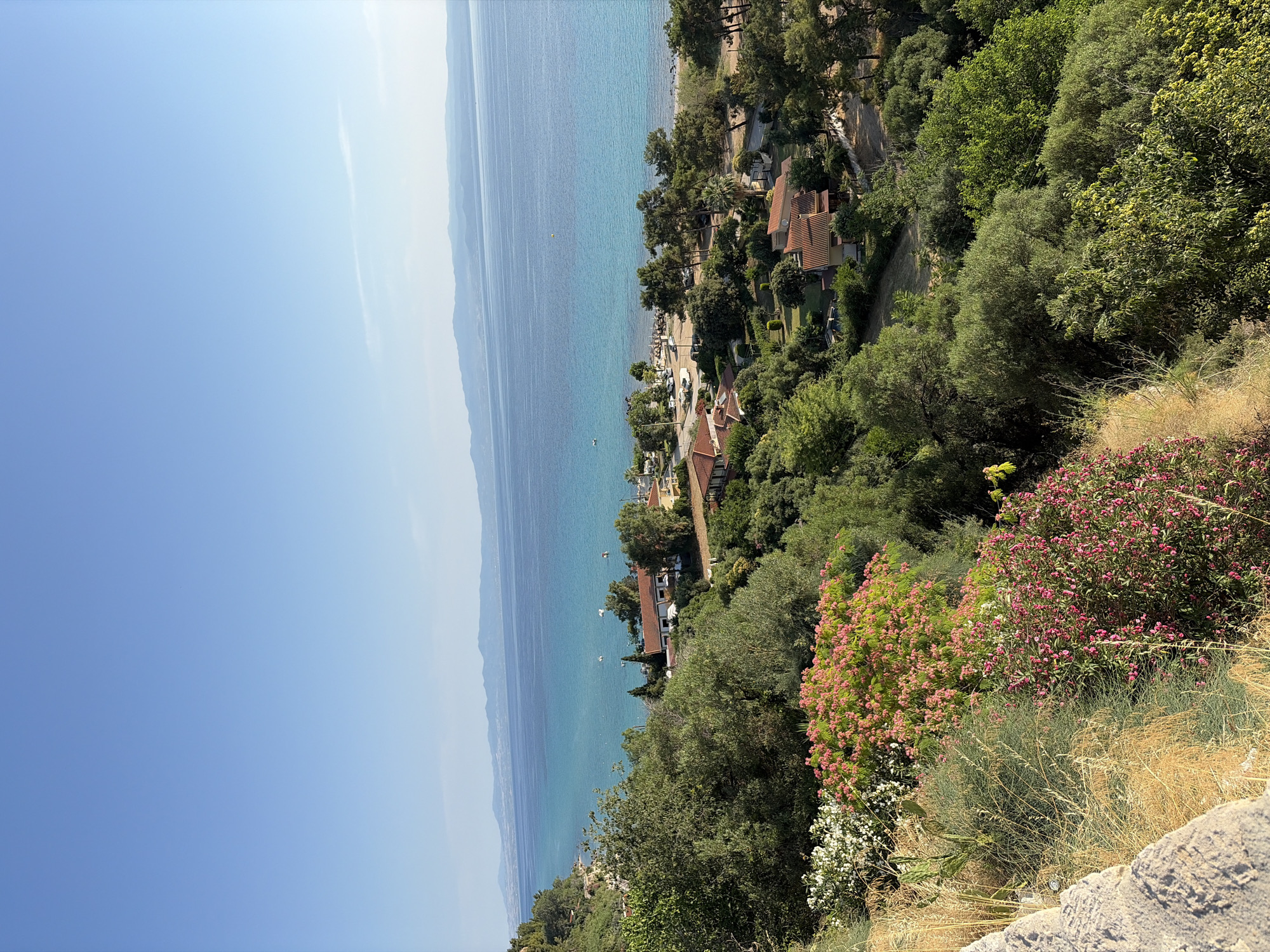 The image depicts a scenic overlook of a coastal area, likely within the Kassandra Municipal Unit of Greece, given the characteristic Mediterranean landscape and architecture. The foreground features a rocky, textured embankment with dry grasses and vibrant flowering bushes in pink and white. A lush canopy of green trees and foliage dominates the midground, interspersed with several buildings. These buildings have terracotta tile roofs and appear to be residences or small resort accommodations, nestled amongst the trees. A paved road is visible winding through the settlement.
Beyond the buildings, the scene opens up to a serene turquoise sea, its surface dotted with a few small boats. The coastline is a mix of sandy beach and vegetated areas. In the distance, a range of low, hazy mountains forms a natural backdrop against a clear, bright blue sky. The overall impression is one of a tranquil, sun-drenched coastal village in a Mediterranean setting. There are no people or animals visible in the frame.