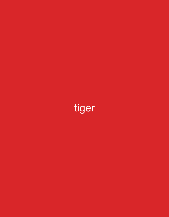 The image is a photograph of a solid red background with the word "tiger" written in white text in the center. There is no visible location information within the image. Therefore, it is not possible to determine if the image is located in Casablanca, Morocco, or any other specific location.
