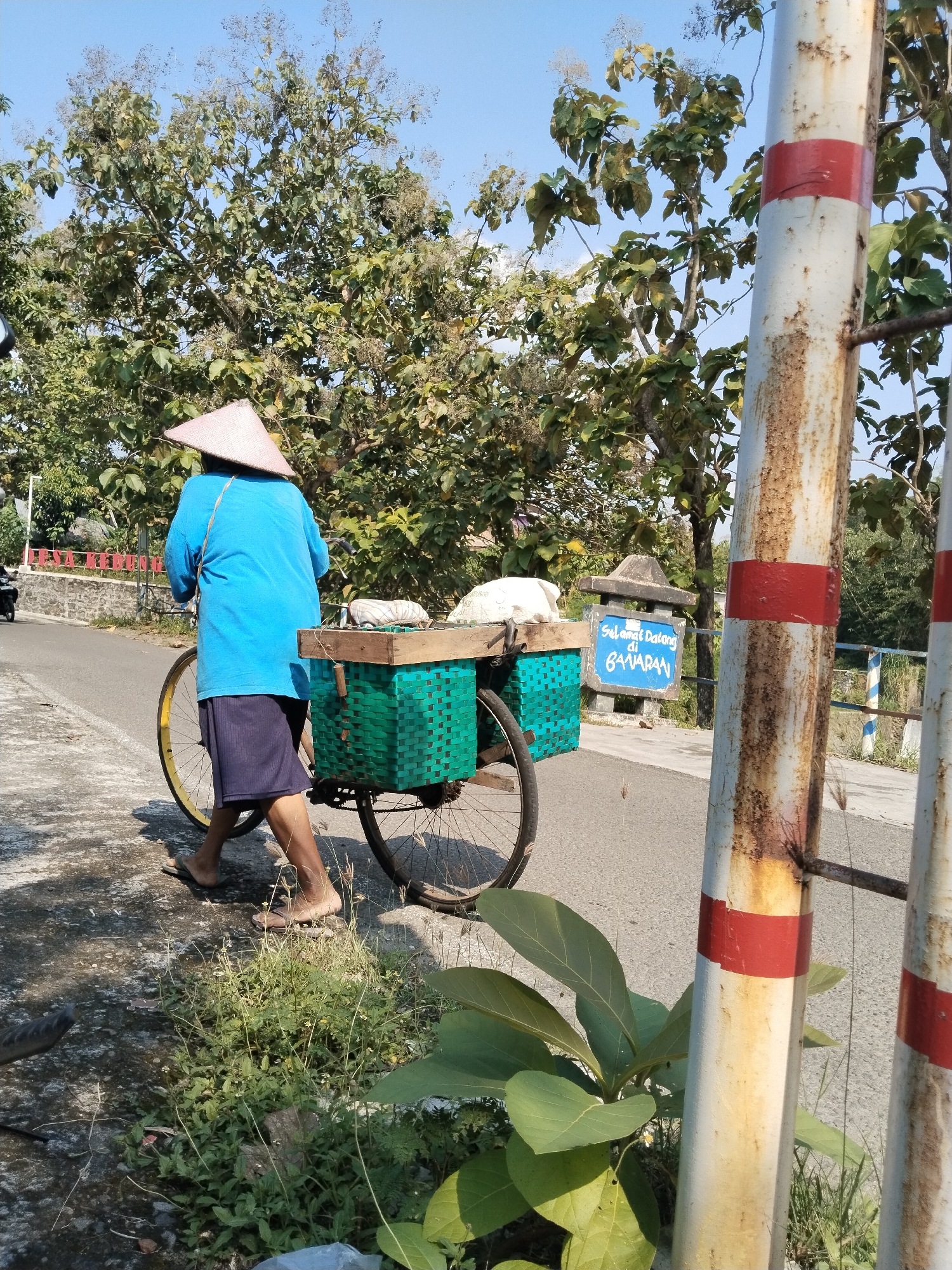 A person is walking along a road, pushing a bicycle with green baskets attached to the back. The person is wearing a blue shirt, a dark skirt, and flip-flops. They also have a conical Asian hat on their head. The bicycle has a yellow front tire and black rear tires. The green baskets are topped with a wooden frame.
The road is paved and has a sidewalk on the left side. Vegetation grows along the edge of the road and sidewalk.
In the background, trees with dense foliage are visible under a blue sky. There is a sign in the background that reads "Selamat Datang di BAMARAN."
In the foreground, metal posts with red stripes encircle the scene. Rust marks are visible on the posts.