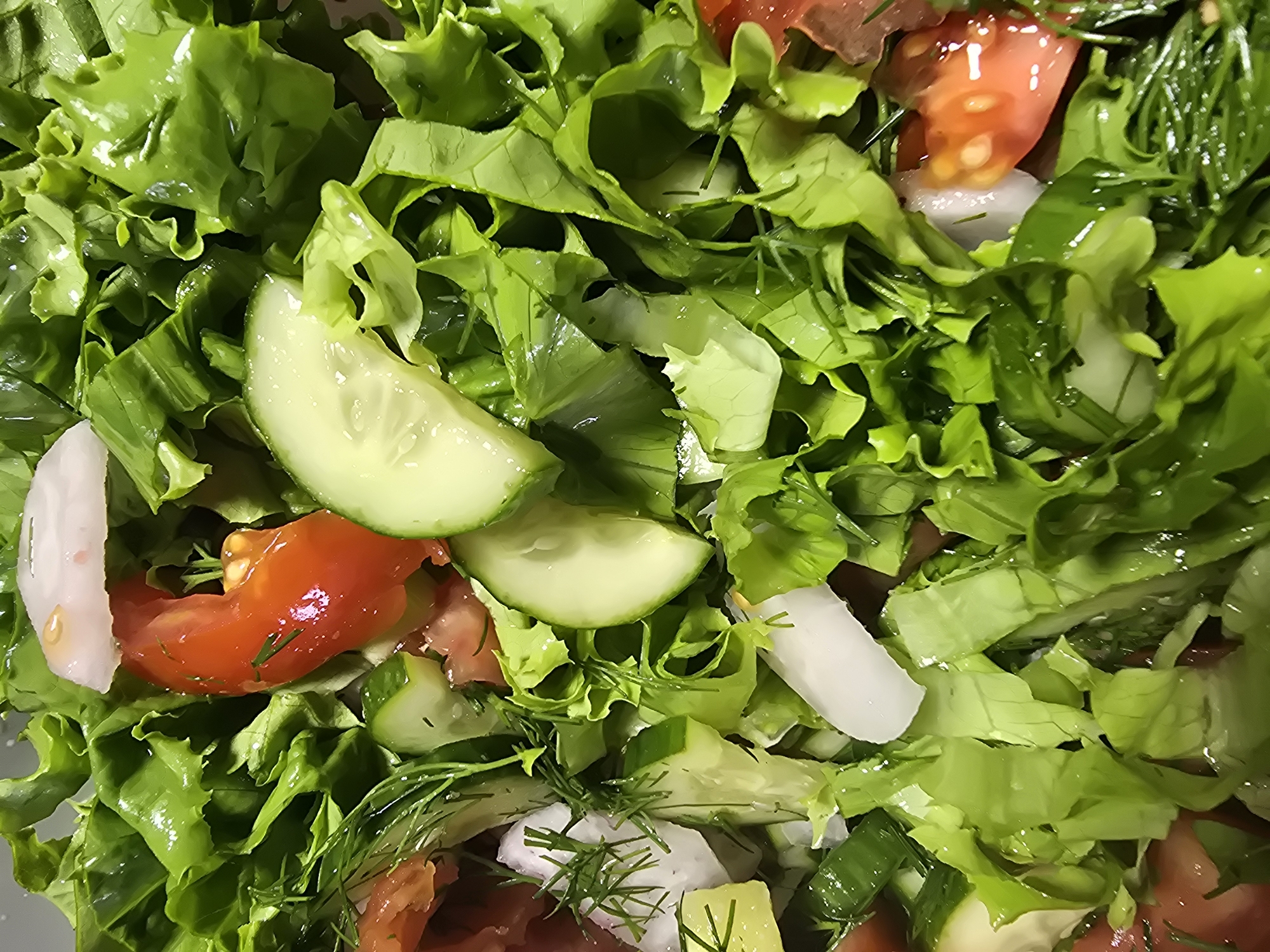 The image is a close-up, overhead shot of a fresh salad. The salad is composed primarily of vibrant green lettuce leaves, which appear crisp and slightly wet, suggesting they have been recently washed. Scattered throughout the salad are pieces of red tomato, sliced green cucumber, and thin white slices of what appear to be onion or radish. The presence of fresh dill sprigs adds a delicate green accent and a hint of aroma. The lighting is bright, causing some highlights on the wet vegetables. There are no people or discernible environmental features related to the city of Ермолаево, Russia visible in the image. It is a static composition focused solely on the food.