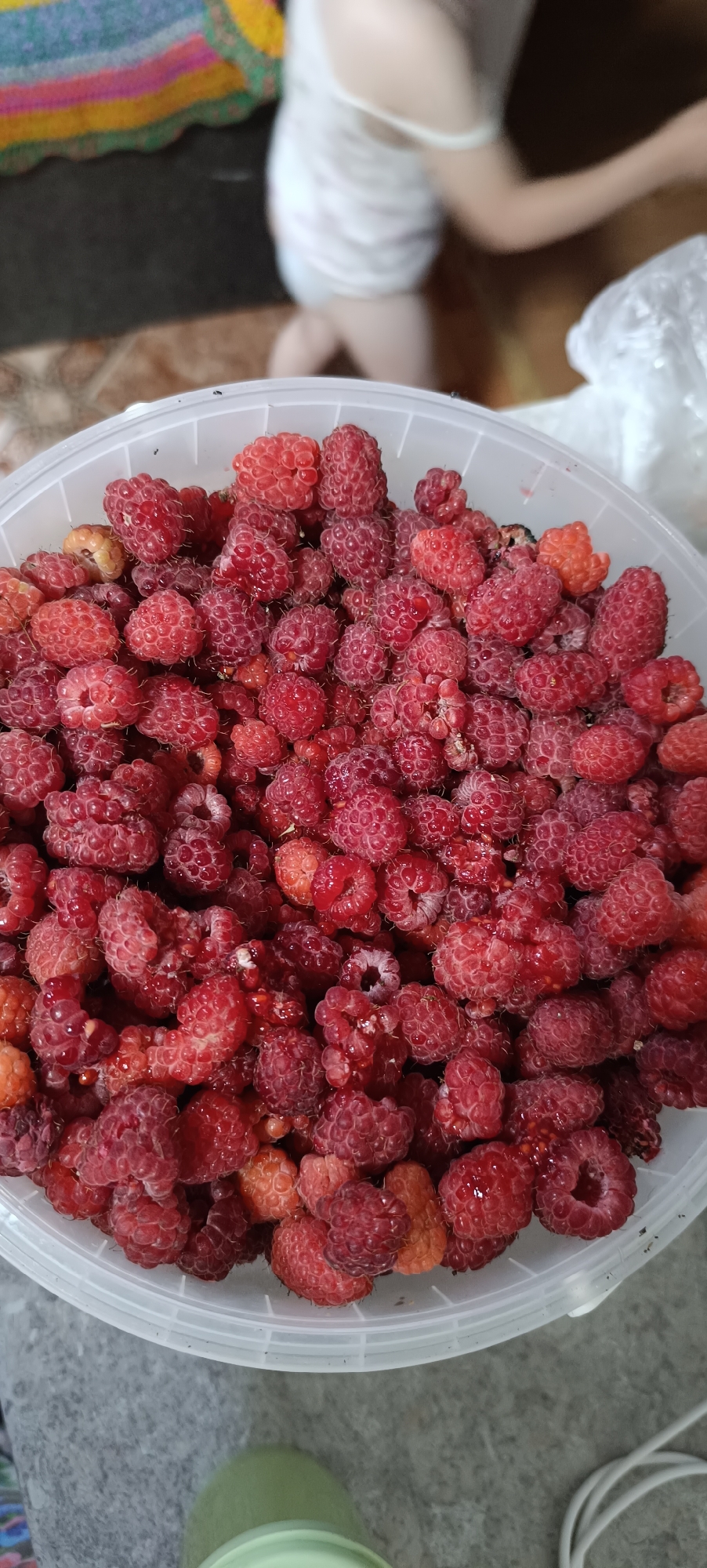 An overhead shot shows a large, translucent plastic bucket overflowing with ripe raspberries. The berries are a vibrant red and range from deep crimson to a lighter pinkish-red. Some appear slightly purplish. They are densely packed within the bucket, with many individual drupelets clearly visible. The bucket's rim is white and has a textured, ribbed surface. In the blurry background, a person wearing a white garment is partially visible, with their hands reaching towards the right side of the frame, out of view. A colorful, striped fabric or blanket is in the upper left corner. The surface beneath the bucket appears to be a textured, greyish-brown material. The scene is domestic, possibly a kitchen or storage area. There are no identifiable landmarks of Karsha, Russia, present in the image.