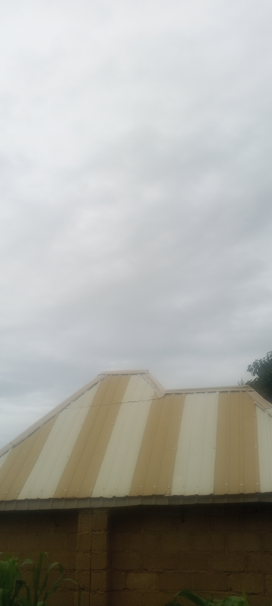 The image shows a close-up view of the corrugated metal roof of a building, with alternating bands of yellow and white. The roof appears to be on a relatively low-rise structure, as suggested by the visible brick wall below. The sky above is overcast and grey, indicating cloudy weather. There are some green plants visible at the bottom edge of the frame, suggesting an outdoor setting, possibly with some vegetation around the building. The overall impression is of a simple, functional building in what is likely a residential or commercial area. Without further information or context, pinpointing the exact location within Ohit, Nigeria, is not possible based solely on the visual data.