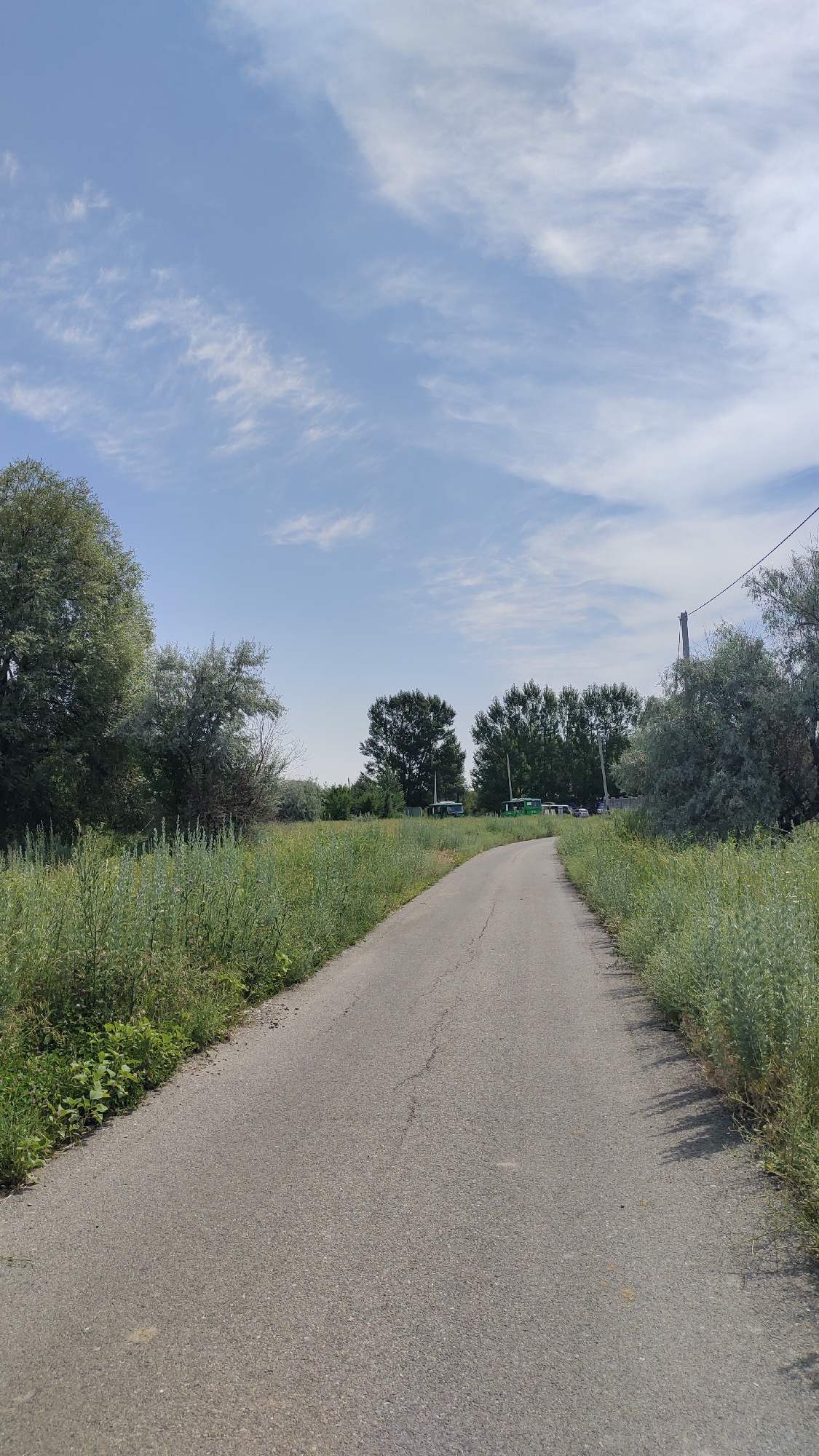 An upward shot shows a paved, two-lane road leading into the distance. The road is flanked by lush, green vegetation and trees on either side. In the background, more trees are visible, along with a few small buildings or structures that appear to be green and blue. A utility pole stands on the right side of the road. The sky above is a clear blue, dotted with wispy white clouds. The scene depicts a rural or semi-rural environment on a clear day.