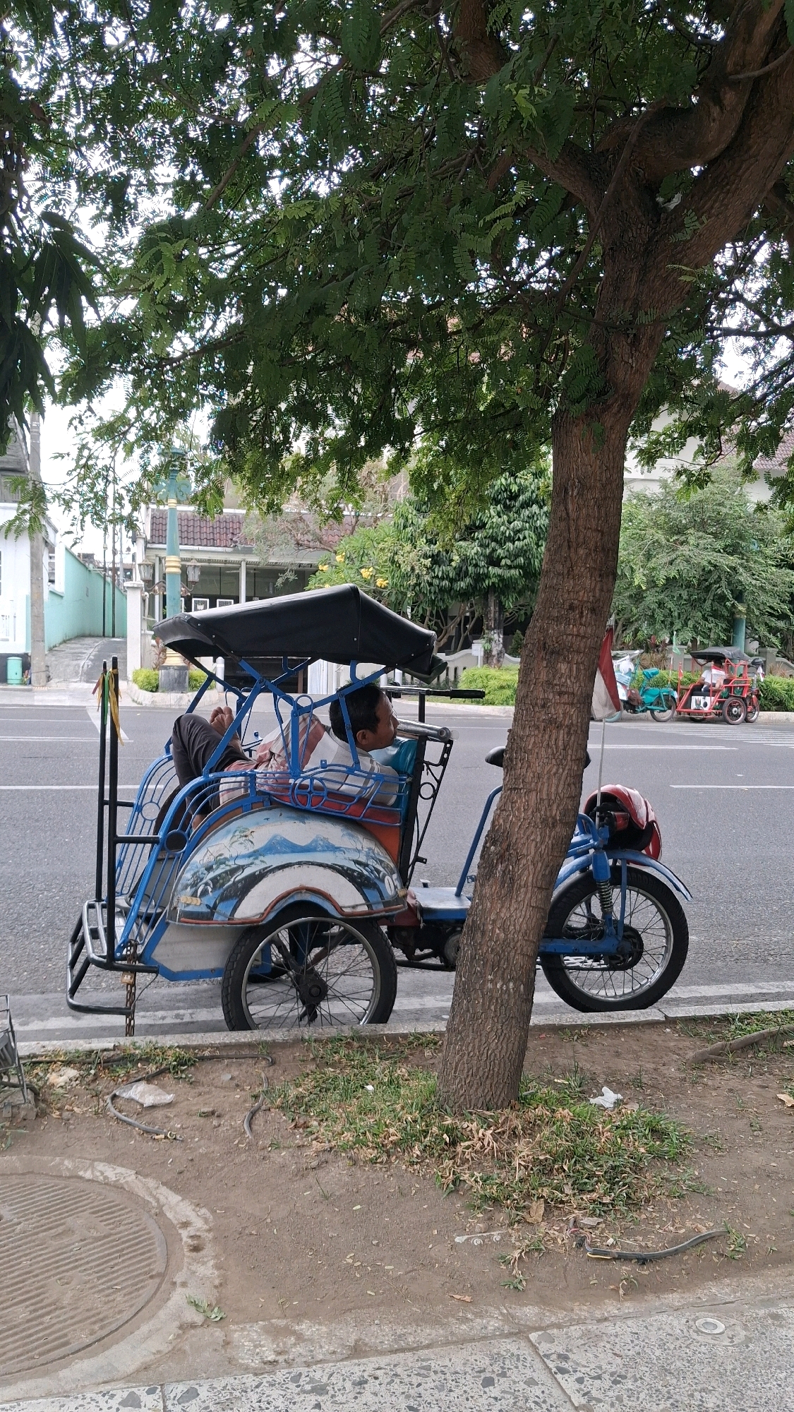 A blue and white tricycle taxi with a black canopy is parked on the side of a paved road in Yogyakarta, Indonesia. A man with dark hair and a striped shirt is seated in the passenger area of the tricycle, facing the viewer. He is wearing dark pants and appears to be resting or waiting. The tricycle is adorned with painted imagery of mountains and waves on its rear panel. A tree with a thick trunk and green leaves is situated to the right of the tricycle, partially obscuring the view of the vehicle. In the background, there are buildings with tiled roofs and more trees. Another tricycle taxi, red and green, is visible further down the road. The ground in front of the tricycle taxi is covered with dirt, dry grass, and some scattered debris. A concrete sidewalk with a circular grate is visible in the foreground. The scene depicts a typical roadside environment in the city.