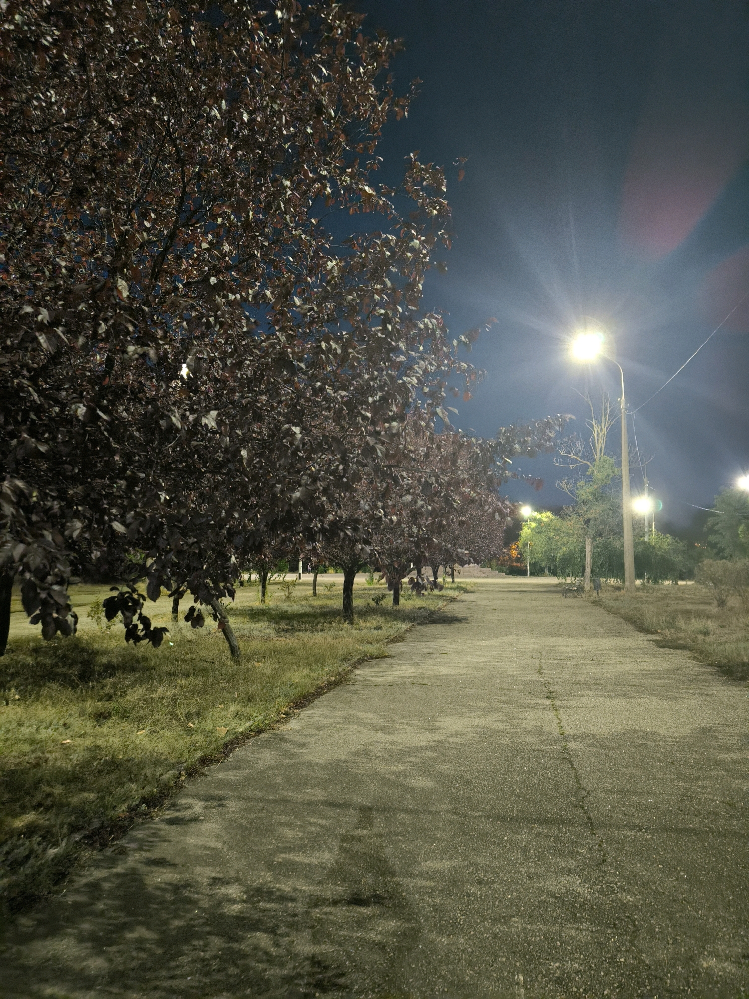 The image shows a path in a park or residential area at night. There are trees on both sides of the path, with the leaves of the trees on the left appearing dark red. Streetlights illuminate the path and surrounding area, creating distinct shadows. The sky is dark, indicating nighttime. The path itself is made of concrete and shows signs of wear, including cracks. In the distance, more trees and streetlights are visible. There are no people or animals in the frame. The overall impression is of an empty, lit pathway in an urban green space after dark.