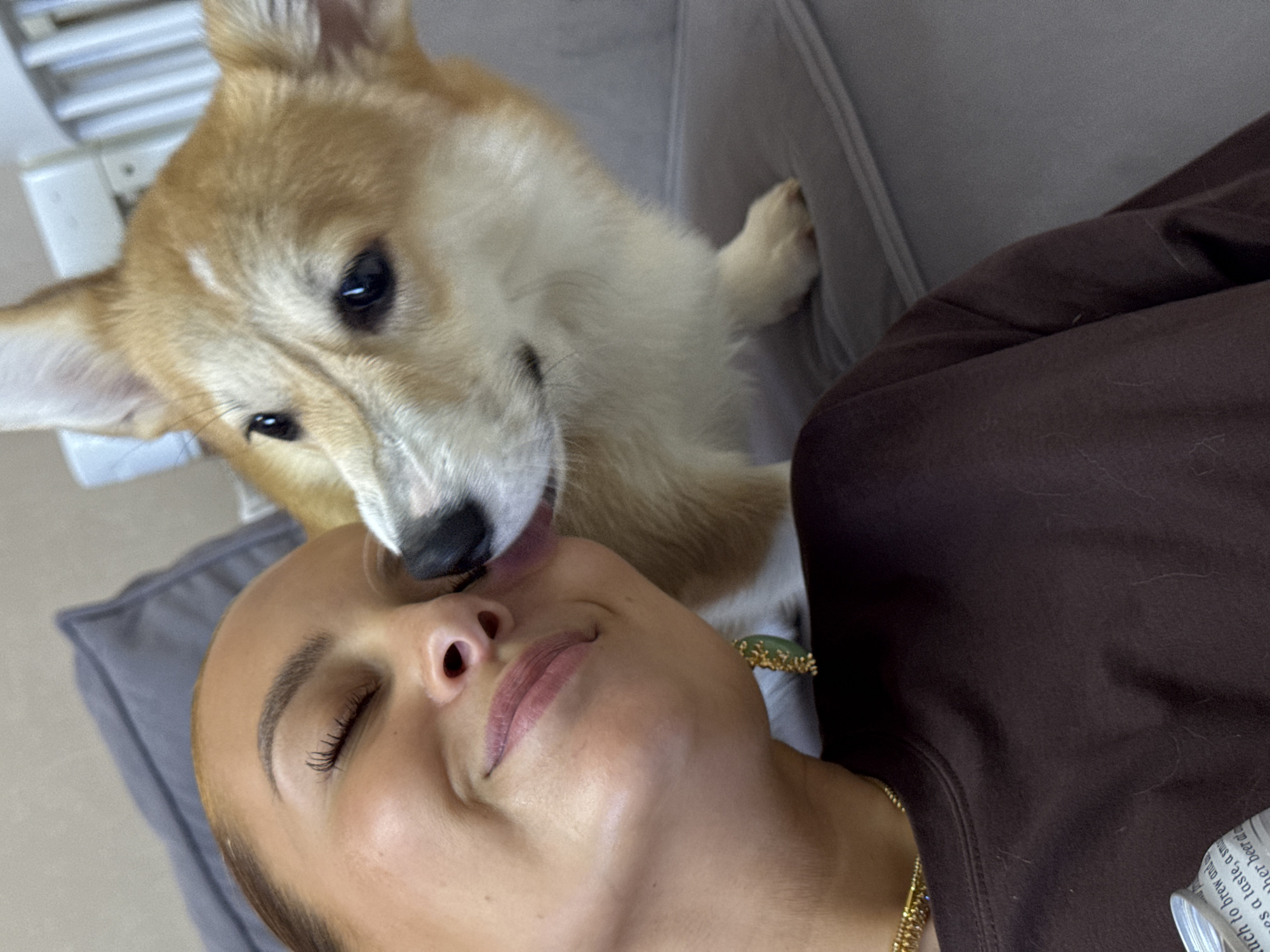A tan-colored Corgi puppy is licking the face of a woman lying down on a gray couch. The woman is wearing a brown sweatshirt and a gold chain necklace. In the background, a white radiator is visible. The location of the image is unknown.