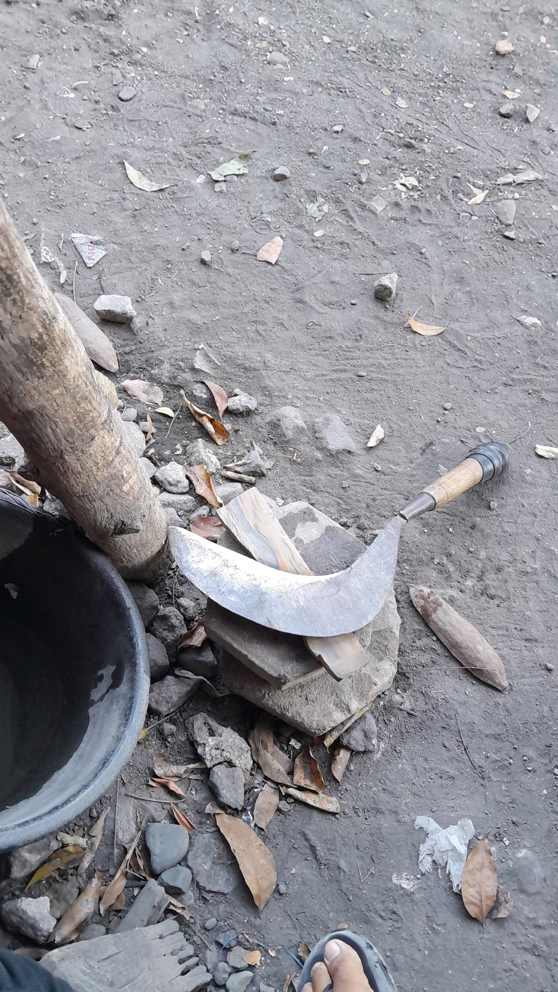 An outdoor, eye-level, medium shot shows a curved metal blade lying on rocks and dirt in Balun, Indonesia. The blade has a light wood handle with black rubber grips. The blade is resting on two flat, rectangular pieces of wood, which are on top of a larger, rough-surfaced gray rock. To the left of the blade, a large, black plastic basin is partially visible. It is filled with water and rests against the base of a thick, rough-barked tree trunk. The ground is composed of dark gray dirt and small gray and brown stones, with scattered dried brown leaves. In the foreground, a person's feet are visible wearing dark gray sandals. One foot is pointing to the right, and the other is slightly angled. The overall impression is one of a rustic, possibly outdoor work or storage area.