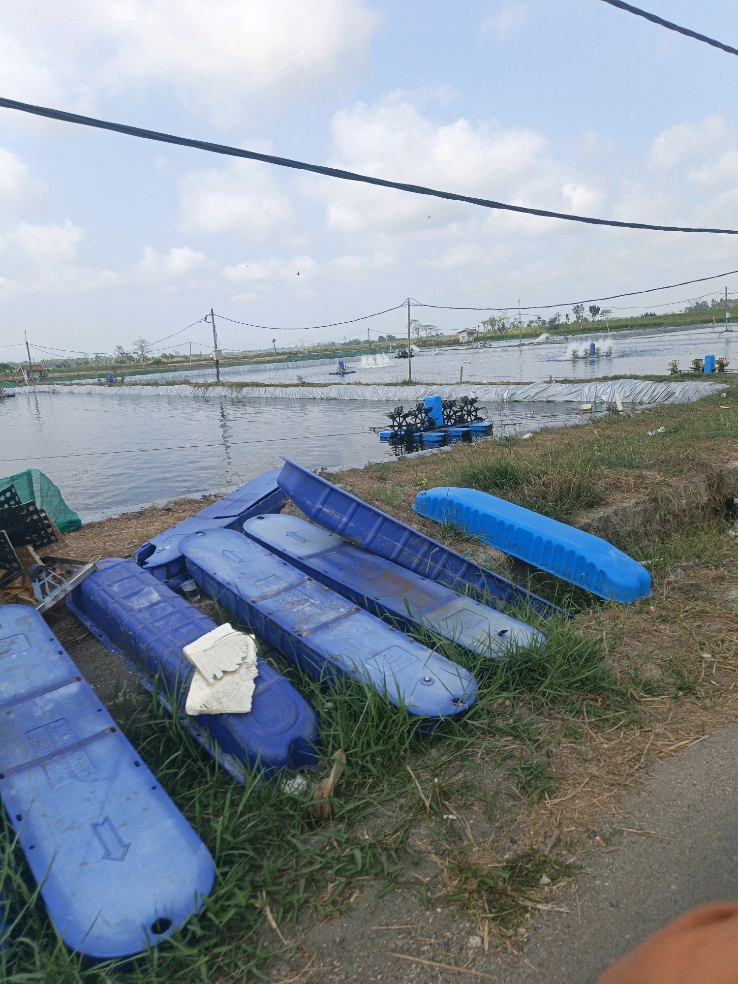 In Wetonkulon, Indonesia, a row of blue plastic aquaculture floats are piled on the grassy bank next to a large pond used for shrimp farming. The floats are of various sizes and shapes, some showing signs of wear and tear. In the pond, several aerators are visible, their rotors churning the water. The background shows more ponds, greenery, and buildings, suggesting a rural or semi-rural area. The sky is partly cloudy, indicating an overcast day. A power line runs across the top of the image, and some electrical poles are visible in the distance. The overall scene depicts a typical aquaculture farm environment.