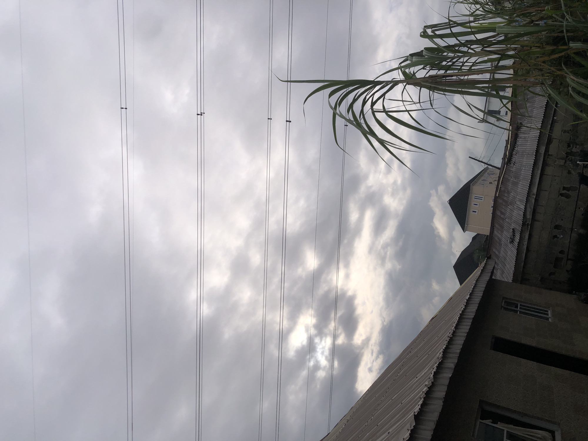 This image depicts an outdoor scene with a focus on the sky and elements of a residential area in Ado, Nigeria. The sky is overcast with heavy, grey clouds, allowing for some diffused sunlight to break through in places. Several parallel power lines stretch horizontally across the frame, supported by visible insulators on some of the lines, suggesting an urban or semi-urban setting with electricity infrastructure.
In the foreground, to the left, a portion of a building with a corrugated metal roof is visible. The building appears to be made of concrete or cinder blocks, with at least two windows, one of which has a curtain. To the right of this building, a dense cluster of tall, green grass or reeds stands, reaching upwards towards the power lines.
Further in the background, various structures of different architectural styles are present. One building has a prominent dark, pitched roof, possibly a house or another residential structure. Another building is a lighter color with multiple windows and a more modern design, also with a pitched roof. Between these buildings, more corrugated metal roofing is visible, indicating a mix of construction materials and styles common in the area. The overall impression is one of a residential neighborhood on a cloudy day. There are no people visible in the image.
