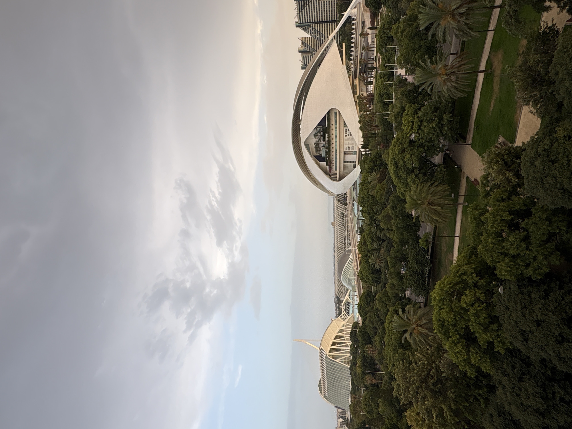 The image captures a wide-angle, elevated view of the City of Arts and Sciences in Valencia, Spain. The sky above is overcast with soft, diffused light, suggesting it might be early morning or late afternoon. In the foreground, a dense canopy of lush green trees dominates the lower half of the frame, creating a park-like setting with winding pathways and occasional lampposts visible.
Dominating the mid-ground and background are several iconic architectural structures. To the left, the L'Hemisfèric, a planetarium and IMAX cinema, is recognizable by its distinctive eyelid-like shape and the tall, slender mast rising from its center. To its right, slightly further back, are elements of the Palau de les Arts Reina Sofía, another architecturally striking building with curved forms. In the distance, beyond these structures, is the L'Oceanogràfic, a complex of marine habitats, suggested by its domed roofs and aquatic features. Further in the background, a cluster of modern apartment buildings with stepped facades can be seen.
The scene is devoid of any visible people, focusing solely on the impressive architecture and the surrounding greenery. The overall impression is one of a serene, modern urban landscape integrated with natural elements.