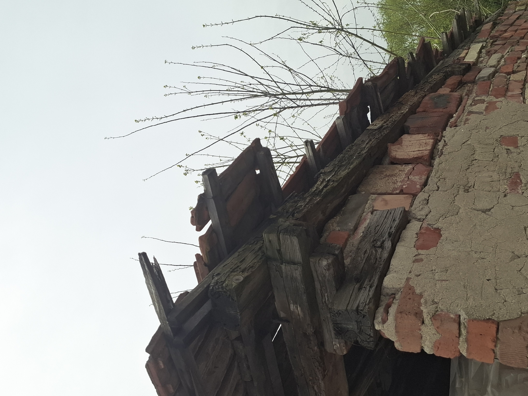 A low-angle shot depicts a deteriorated building with exposed brickwork and wooden beams under a cloudy sky. The building appears to be in a state of disrepair, with crumbling plaster and a damaged roofline. Bare tree branches extend across the upper portion of the frame. The location within the city of Unknown, Unknown, is indeterminate.