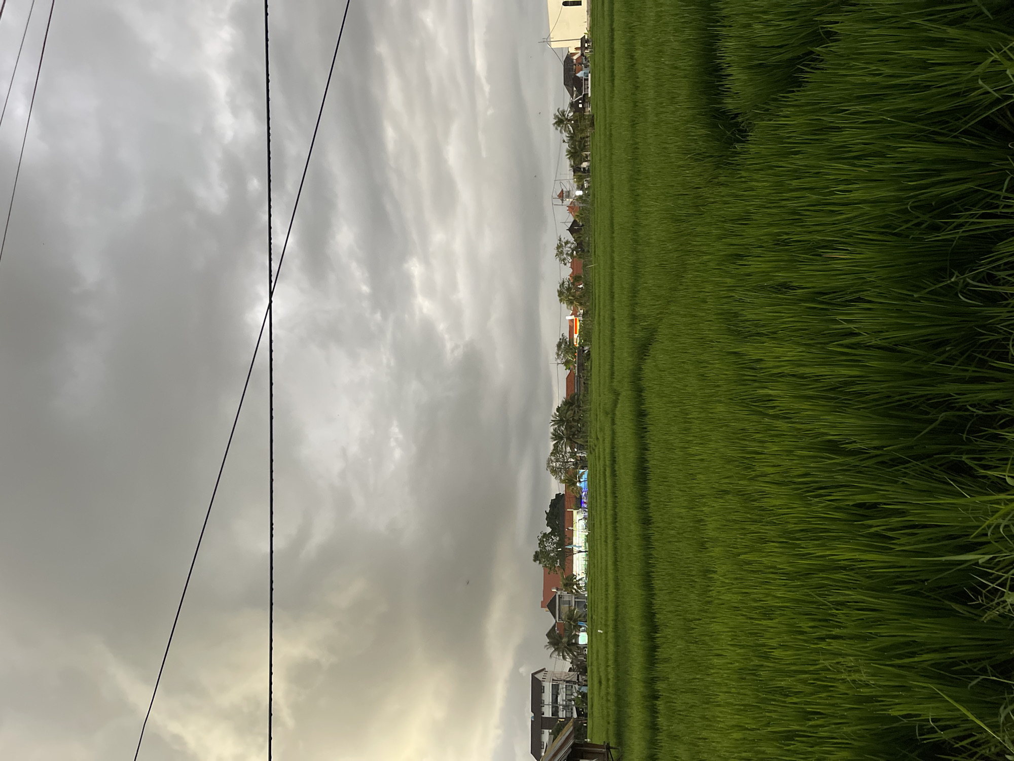 The image captures a landscape in North Kuta, Indonesia, dominated by a vast, vibrant green rice field stretching into the distance. The sky overhead is heavily overcast with dark, dramatic clouds, hinting at impending rain or a recent storm. Several thin, dark electrical wires crisscross the upper portion of the frame, casting faint shadows.
Along the horizon, a line of buildings is visible, suggesting a populated area adjacent to the agricultural land. These structures vary in style and size, with some appearing residential and others possibly commercial or public. Among them, a prominent white building with an arched window stands out on the right side. The rice field itself is neatly cultivated, showing the characteristic rows and patterns of planted crops. The overall impression is one of rural tranquility, juxtaposed with the overhead power lines and the foreboding sky. There are no people visible in the scene, nor any animals. The focus is on the natural environment and the human presence through the structures and infrastructure.