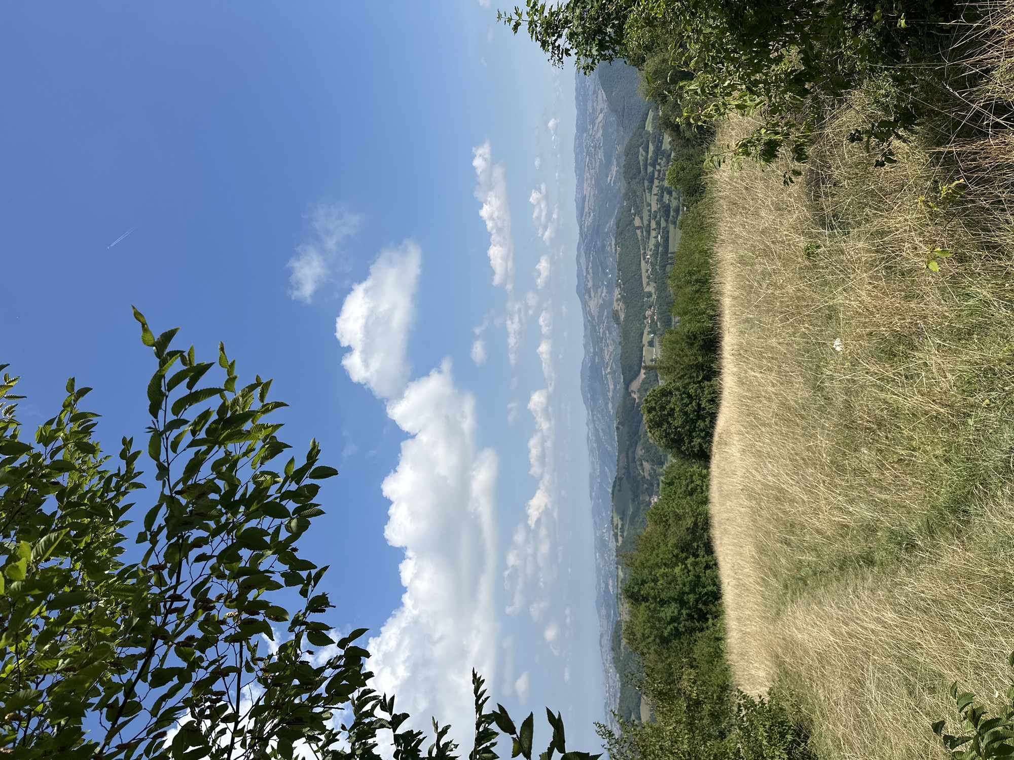 The image depicts a scenic landscape in the vicinity of Scurano, Italy, likely taken from an elevated viewpoint. In the foreground, a dry, golden meadow stretches across the frame, traversed by a faint, winding path. Lush green trees border the meadow, with darker foliage on the right and lighter, denser trees in the middle ground. A dense canopy of green leaves from a tree partially obscures the upper left portion of the image.
Beyond the meadow and trees, a rolling landscape of hills unfolds. These hills are covered in a patchwork of green fields and scattered trees, with small villages or clusters of houses visible in the valleys. The hills recede into the distance, becoming softer and more muted in color.
The sky is a vibrant, clear blue, punctuated by fluffy white cumulus clouds. A thin white contrail from an airplane is visible in the upper center of the sky. The overall impression is one of a peaceful, rural summer day in the Italian countryside.