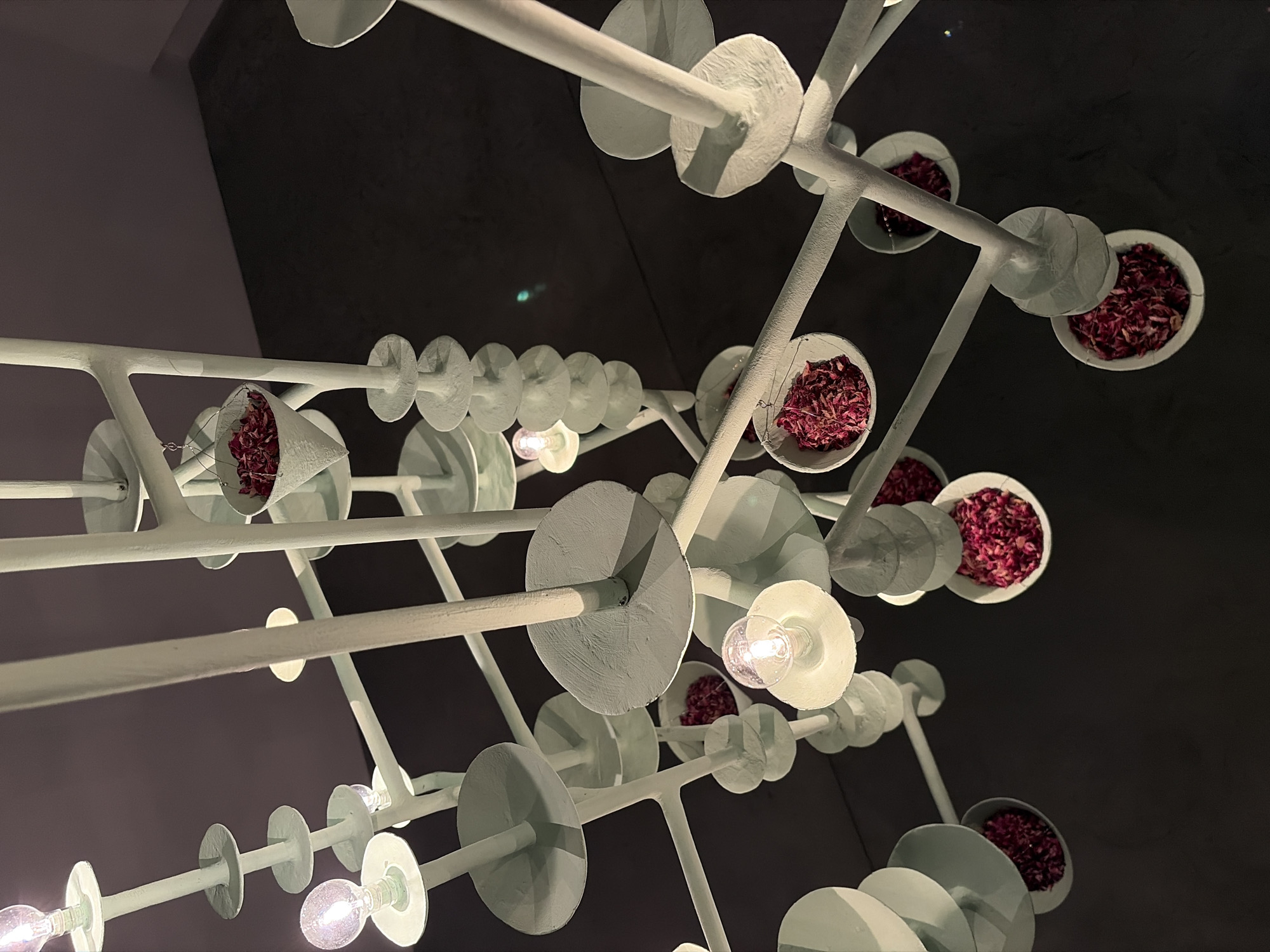 A low-angle, slightly distorted, full shot captures a complex, artistic light fixture suspended from a dark ceiling, possibly indoors, with the location being the city of Bangkok, Thailand. The fixture consists of a white, skeletal structure with multiple horizontal and diagonal rods. Circular discs are attached at intervals along the rods, and some sections feature small light bulbs, some illuminated. Small, white, bowl-shaped containers filled with a red, granular material (likely flower petals) are interspersed throughout the structure. The background is divided into a dark ceiling with a slightly lighter angled section that appears to be a wall or another part of the ceiling. The overall lighting is dim, with the light bulbs providing the main source of illumination.