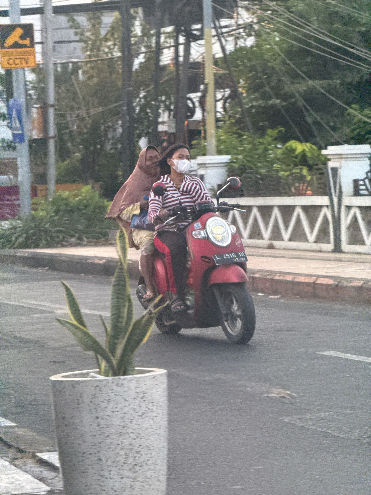 Two individuals, both appearing to be female, are riding a red scooter on a paved road. The scooter has a license plate that reads "L 4516 IH" with an expiration date of "02-24". The person in the back is wearing a light brown hijab and a patterned fabric over their lap. The person in front is wearing a striped long-sleeved shirt, black pants with a red stripe, and a white face mask. The scooter has a circular headlight with a yellow emblem.
In the foreground, a tall, cylindrical concrete planter with a speckled texture contains a snake plant with long, variegated leaves. The background shows a street scene with trees, power lines, and buildings with white decorative fencing. A yellow and black sign with an icon of a surveillance camera and the text "CCTV" is visible on a pole to the left, suggesting this location is in a developed area. The overall lighting suggests it is daytime, possibly late afternoon, given the quality of the light. The presence of the CCTV sign and the style of the scooter are consistent with urban environments in Indonesia, and specifically Surabaya, known for its busy streets and prevalence of scooter use.