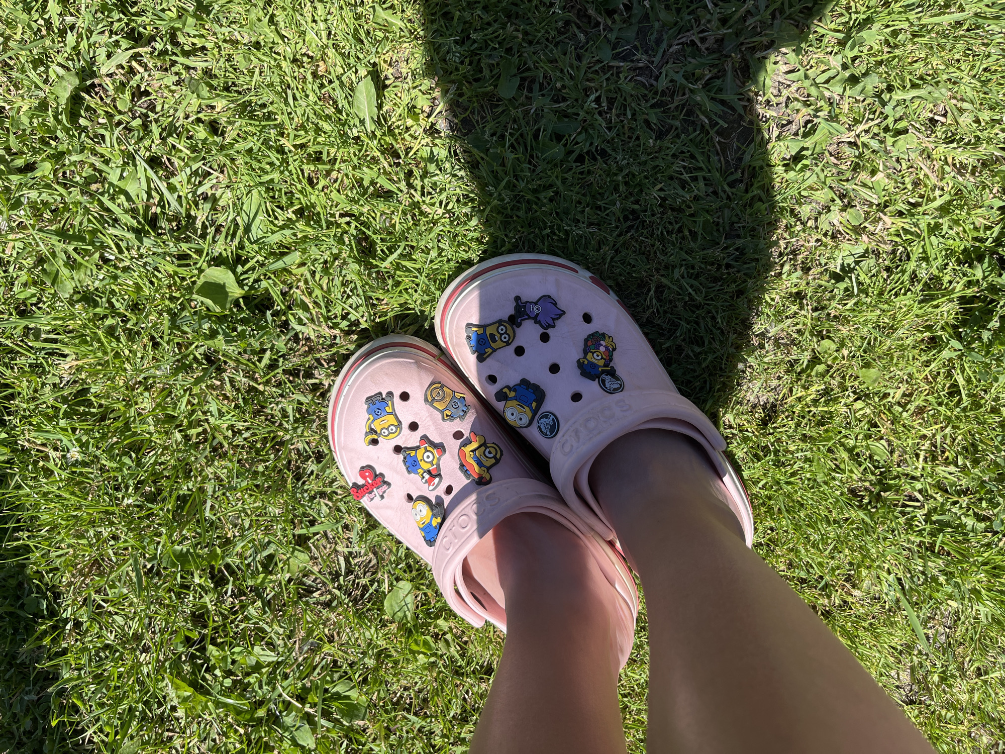 A pair of light pink Crocs adorned with Minion charms are pictured from a top-down perspective. The shoes are situated on a patch of green grass, likely in a park or backyard. The grass appears to be well-maintained and exposed to direct sunlight, casting a shadow to the right of the frame. The specific location in Novosibirsk, Russia cannot be determined from the image alone.