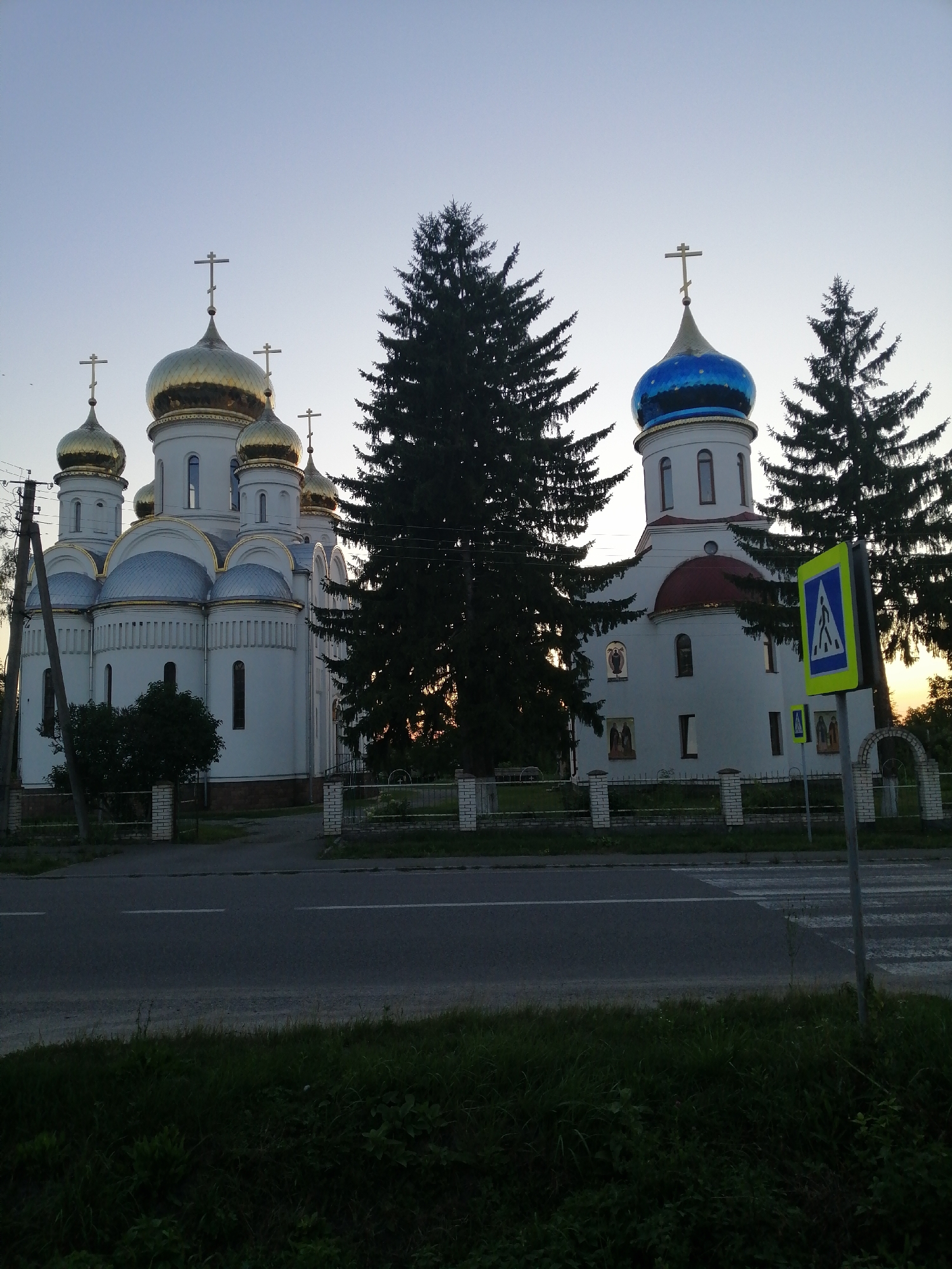 The image shows a view of an Orthodox church with multiple golden domes and one blue dome, located in the city of Lanivtsi, Ukraine. The church is a white, multi-tiered structure with arched windows. Several tall evergreen trees are positioned around the church, partially obscuring it. In the foreground, a paved road with a pedestrian crossing is visible, along with a pedestrian crossing sign. The sky is a pale blue, suggesting either early morning or late evening. The scene appears to be peaceful and quiet, with no people or vehicles present. The overall impression is one of a religious building set within a natural environment, with elements of urban infrastructure present in the foreground.