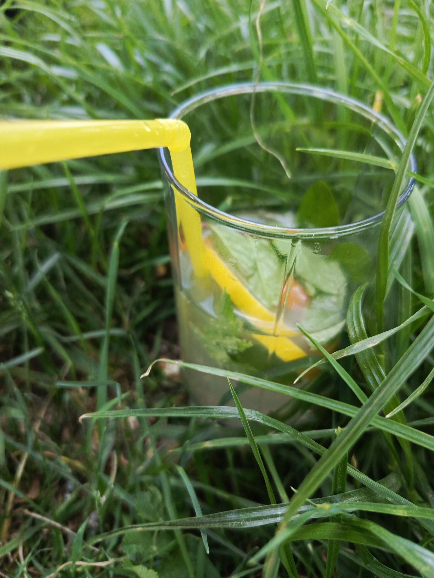 A glass filled with a clear beverage, lemon slices, and mint leaves sits among blades of green grass. A yellow straw extends from the glass. The location is not evident from the image.