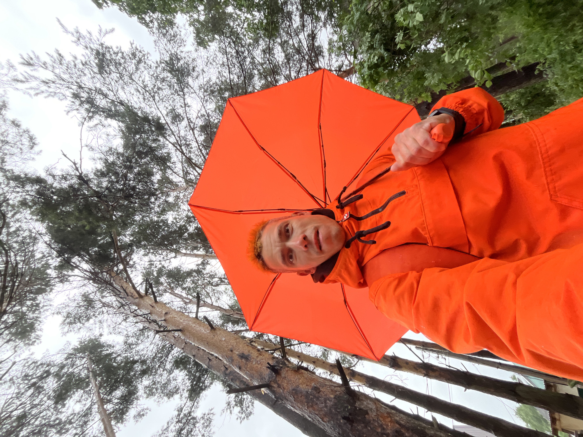 A man with orange hair, wearing an orange jacket and holding an orange umbrella, is taking a selfie in a forest. The man is looking at the camera with a surprised expression. The umbrella is open and positioned above his head, shielding him from the rain. The background consists of tall pine trees with a grey, overcast sky. A small, indistinct structure is visible in the lower left corner of the image. The scene appears to be in Chaikovsky, Russia, given the presence of pine trees and the weather conditions indicative of a temperate climate.