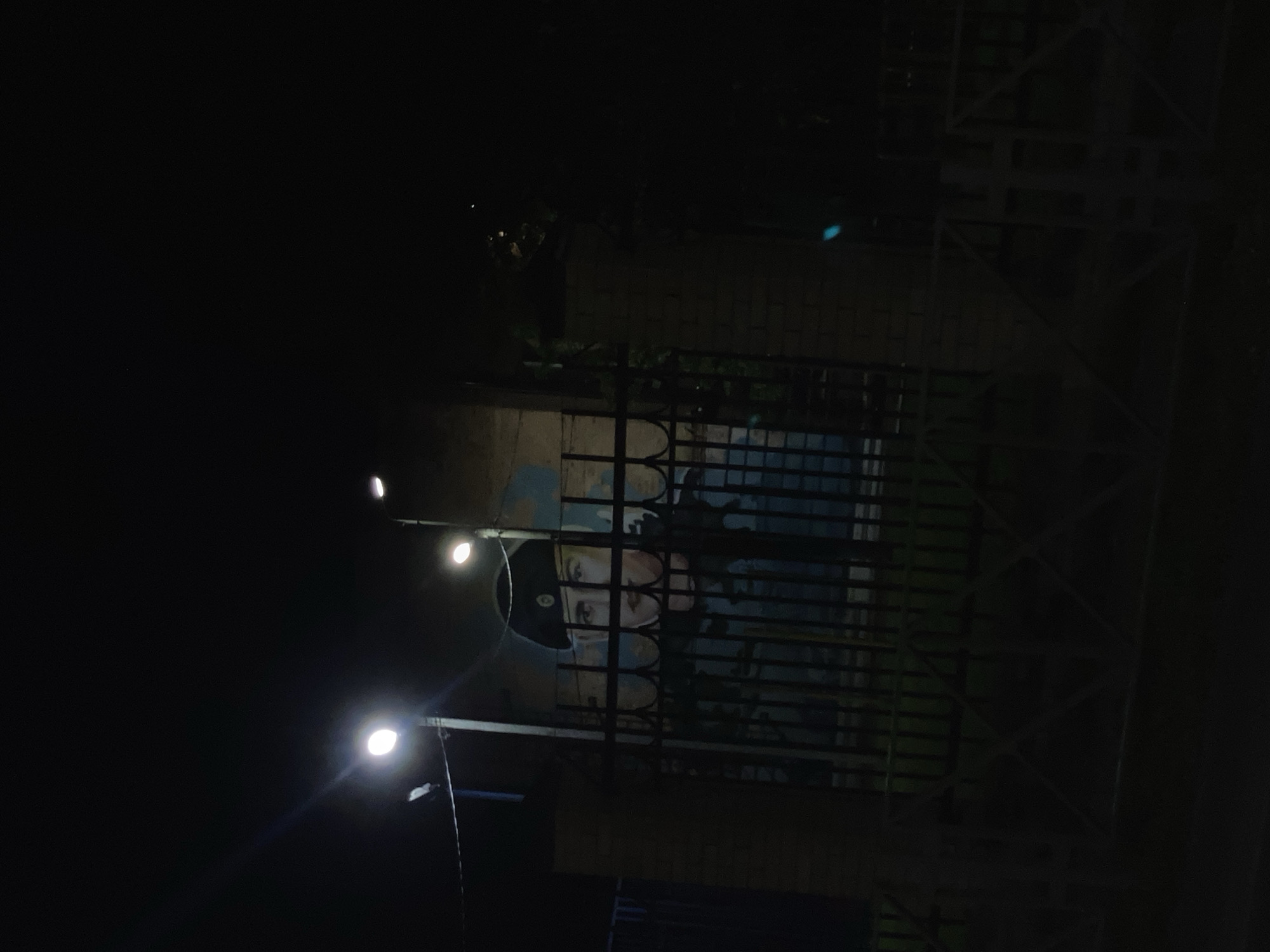 The image captures a dark, outdoor night scene, primarily illuminated by artificial lights. The original photo is oriented vertically, rotated 90 degrees clockwise.
The central focus is a section of a wall positioned behind a dark metal fence. On the left side of the frame, two bright streetlights with circular white lamps are prominent, casting light on the wall and the fence.
A notable detail on the wall is a mural or painting, partially obscured by the fence bars. The mural depicts the upper half of a person's face. The individual in the artwork is wearing a dark cap and a face covering, possibly a mask or scarf, which conceals their mouth and nose. Their eyes are clearly visible, conveying a serious or intense expression. The background of the mural shows textures and shades of blue and brown, suggesting a distressed wall surface.
The metal fence in front of the mural appears to consist of two parts: an ornate section with arched tops directly in front of the painted face, and a more robust, possibly structural, metal framework extending further to the right. The foreground and upper parts of the image are very dark, with only faint glimmers of light and indistinct shapes visible, suggesting distant structures or foliage.
The scene depicts a static moment at night in what appears to be an urban or semi-urban setting, likely along a street or a property boundary. No specific activity is occurring, and no text is visible in the image.