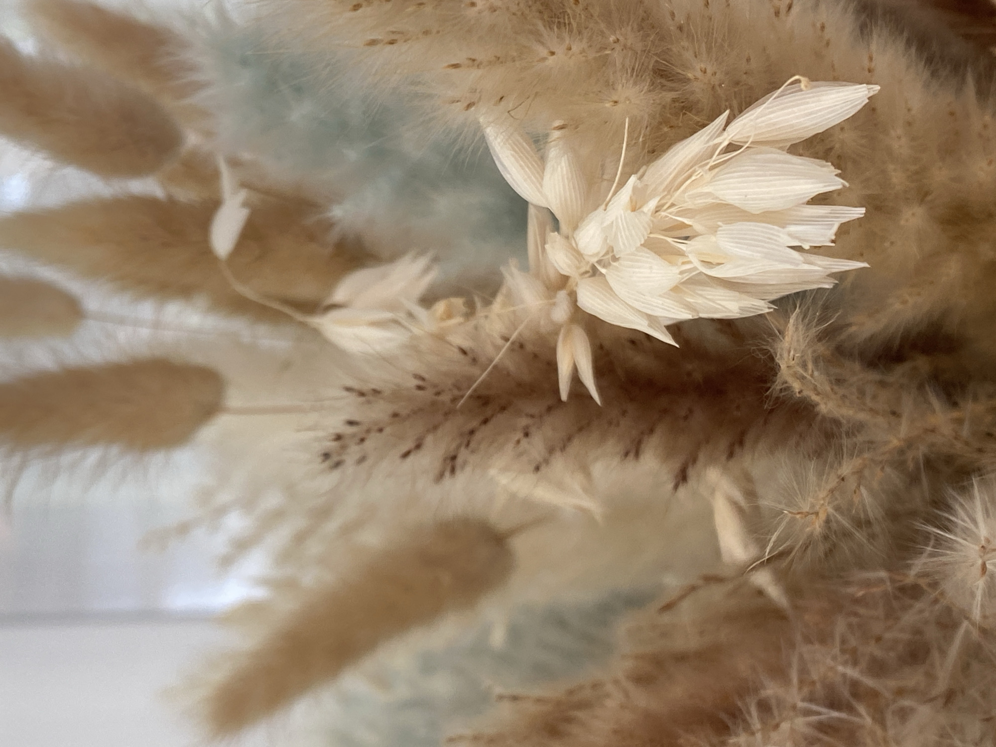 This is a close-up, still life photograph of a dried floral arrangement. The primary subject is a cluster of delicate, pale cream-colored dried flowers, with multiple layered petals that have a ribbed texture. Surrounding these flowers are various dried grasses and seed heads, exhibiting a spectrum of earthy tones, including beige, tan, and light brown. Some of these elements are soft and feathery, while others are more spiky or linear.
The background is softly blurred, with hints of muted blue and white, suggesting a subtle, possibly indoor, setting. The lighting appears soft and diffused, contributing to the tranquil and natural aesthetic of the composition. There is no visible text in the image. The overall mood conveyed is one of rustic beauty, calmness, and the preservation of natural forms. The specific location context of Прикамский, Russia, is noted but not visually discernible within the image itself.
