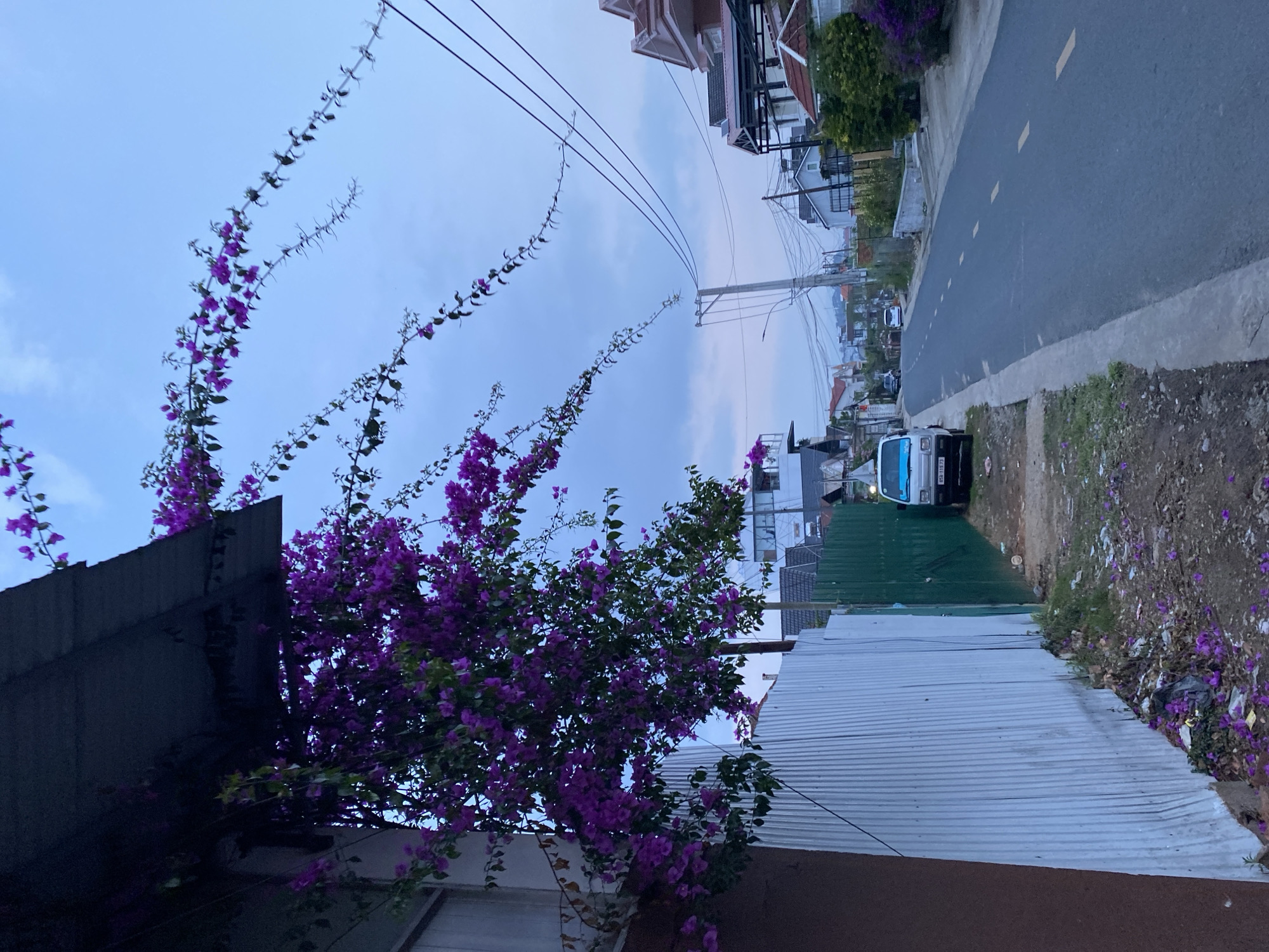 An eye-level, horizontally-oriented shot shows a street scene in Lâm Viên - Đà Lạt, Vietnam. On the left is a partially-visible structure with a gray roof, flanked by cascading purple Bougainvillea flowers. Overhead power lines stretch across the scene against a light blue, cloudy sky. To the right, a narrow paved street extends into the distance, bordered by houses and vegetation. A white vehicle is parked along the road. A corrugated metal fence runs parallel to the street, with patches of grass and fallen flowers along its base. Debris is scattered along the ground.