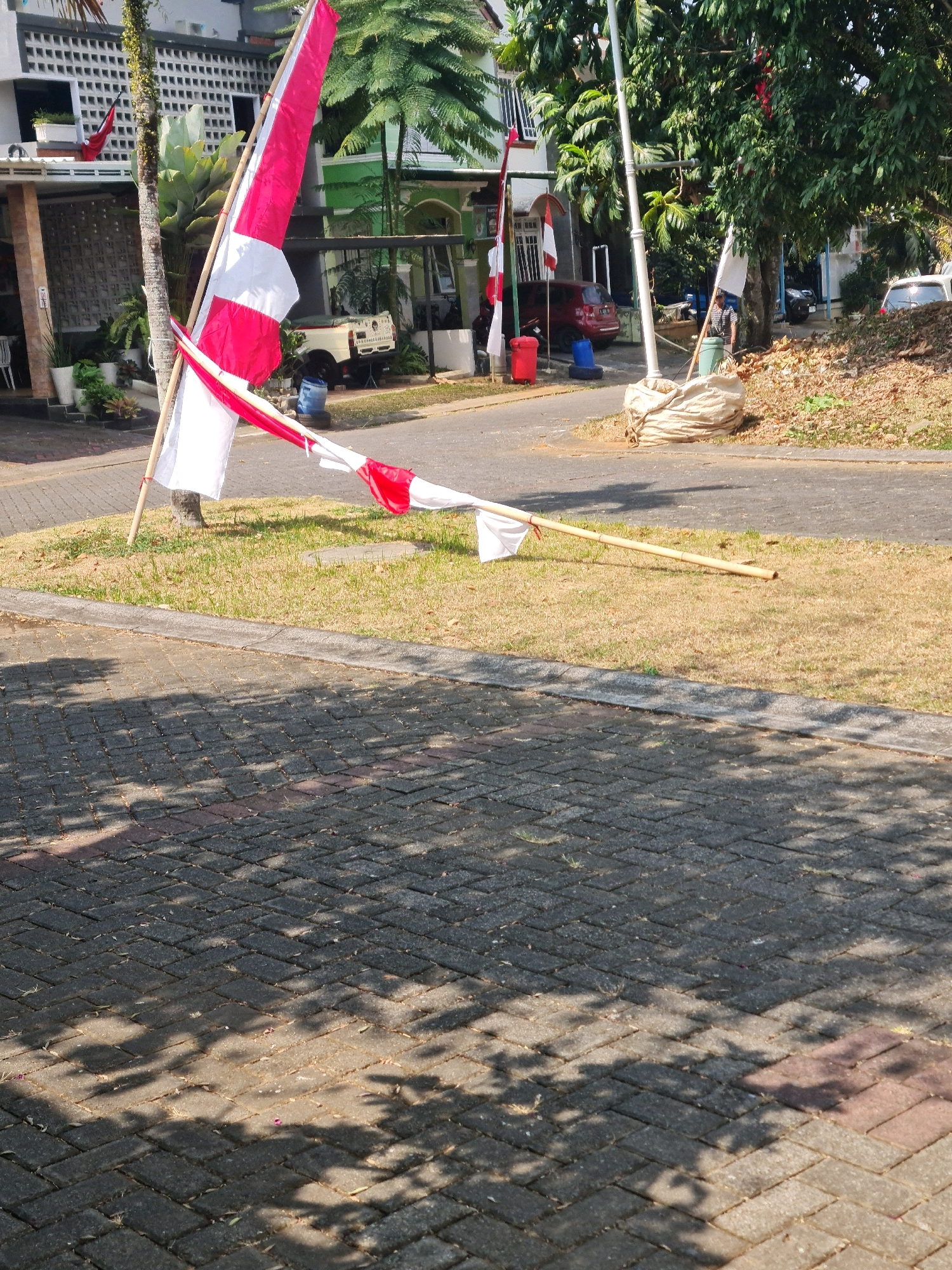 An outdoor scene depicts a residential area in Semarang, Indonesia, characterized by a paved walkway and grassy areas. The foreground displays a gray brick-paved walkway with dappled sunlight and shadows from overhead trees. Adjacent to the walkway is a strip of dry, yellowing grass bordered by a concrete curb.
In the mid-ground, several flags are visible. One prominent flag, positioned vertically, is a red and white Indonesian flag attached to a bamboo pole. Another red and white flag appears to be draped over a longer, horizontal bamboo pole that lies on the grass. Further back, a white flag is seen near a large green trash bin.
Behind the flags, houses with modern architecture are present. One house features a white facade with patterned windows. A white pickup truck and a red car are parked in the driveway of one of the houses. Trees with lush green foliage are scattered throughout the scene, with a large tree in the right mid-ground. A person in a striped shirt is standing near the large tree, next to a green trash bin. A large, light-colored burlap sack is situated near the base of a flag pole in the mid-ground. The overall impression is a sunny day in a residential neighborhood.