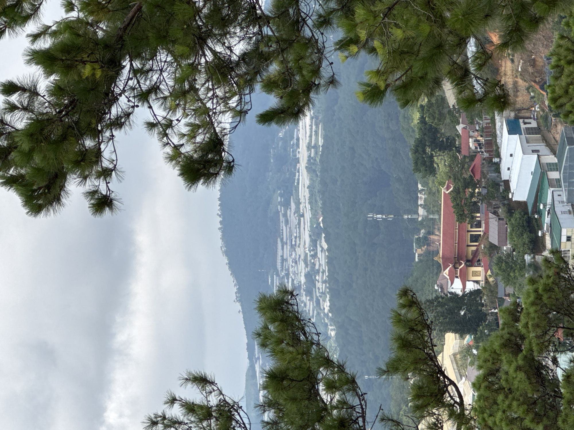 The image presents a view of Lạc Dương, Vietnam, framed by pine tree branches in the foreground. The sky is overcast with gray clouds. A mountain range covered in dense vegetation forms the backdrop. The foreground shows a dense cluster of buildings, some with red tile roofs and others with white or light-colored facades. A communication tower is visible among the buildings.