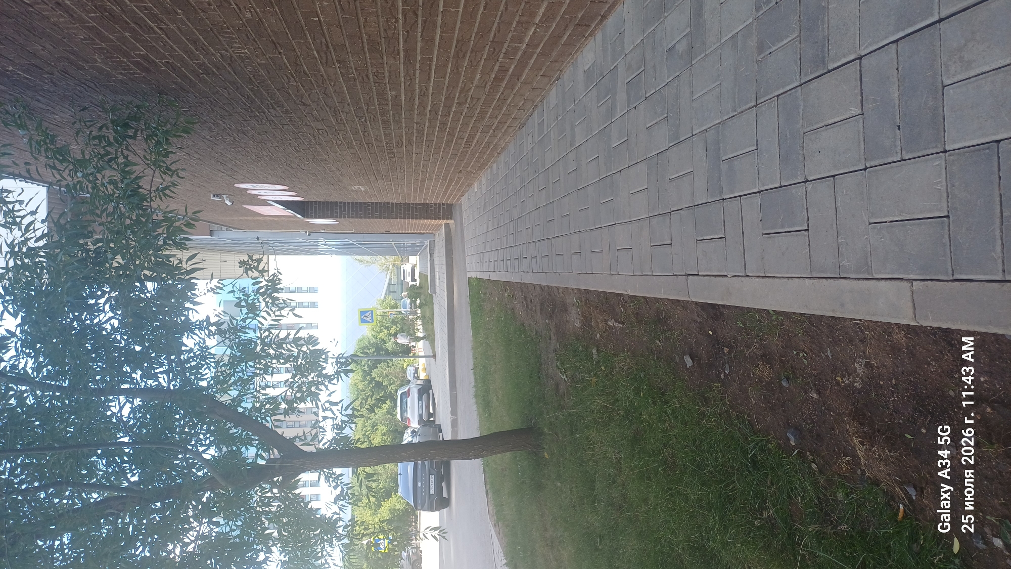 The image depicts a sidewalk with gray interlocking pavers alongside a brick building. A tree with green leaves is positioned on the left side of the frame, with its branches extending over the sidewalk and partially obscuring the view of a building in the background. The background also shows cars parked on a street, a pedestrian crossing sign, and other buildings. The timestamp on the image indicates it was taken in Astana, Kazakhstan, on July 25, 2026, at 11:43 AM.