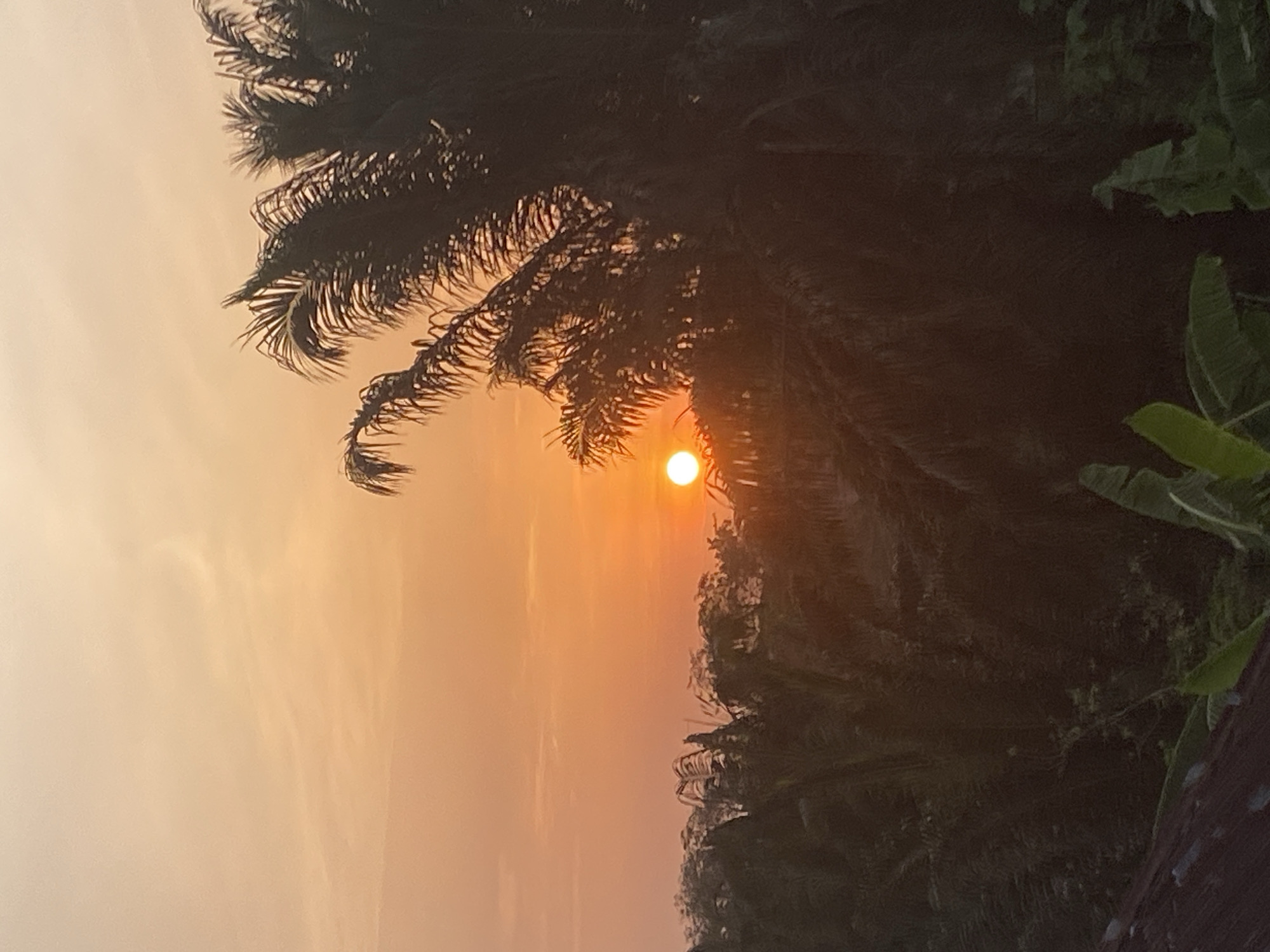 The image shows a sunset in Nguzu Edda, Nigeria. The sun is visible as a bright orange disc obscured by the fronds of a palm tree. The sky is hazy with an orange hue. The silhouette of another tree is visible on the right.