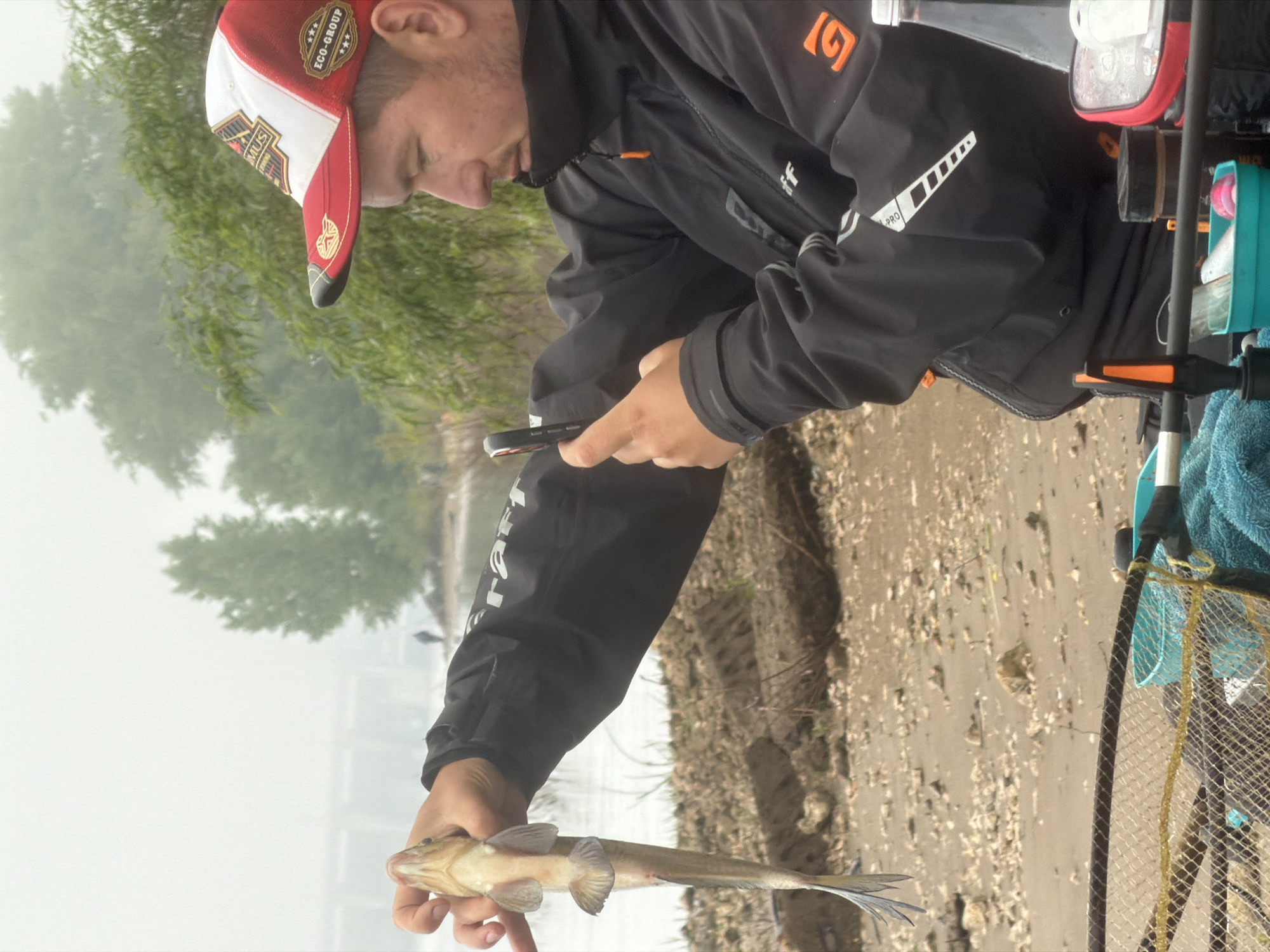 The image depicts a man engaged in fishing by a body of water in Noviy, Russia, under hazy conditions. The man, positioned on the right side of the frame, is seen in profile, looking down at his smartphone held in his left hand. In his right hand, he holds a small, slender fish, displaying his catch.
He is dressed in a black long-sleeved jacket with orange accents, featuring a stylized "G" logo on the upper arm, "craft" visible on the sleeve, and a distinctive white jagged-line graphic on the torso. He wears a red, white, and black baseball cap with "ECO-GROUP" and three stars, plus "MUS" as visible text.
The setting is an outdoor natural environment. The foreground shows a muddy or sandy bank dotted with small stones or shells. A body of water, likely a river or lake, extends behind the man. The background is diffused and hazy, suggesting fog, mist, or an overcast sky, with silhouettes of green trees lining the distant shore. Fishing gear, including a landing net with yellow mesh, is partially visible on the right side of the frame, indicating an active fishing session. The scene conveys a moment of contemplation or documentation following a successful catch.