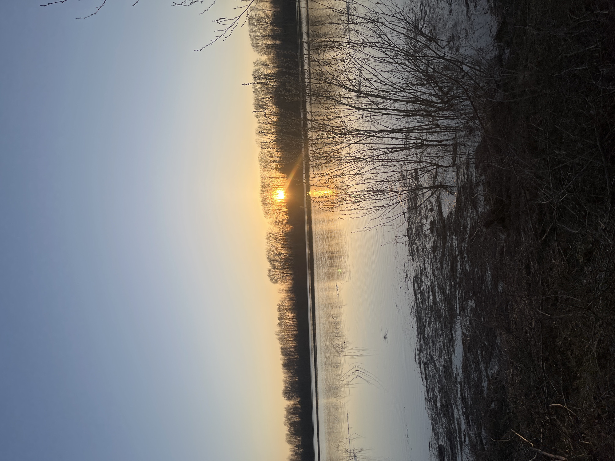 The image depicts a body of water reflecting a sunset. The sun is partially obscured by a line of trees on the opposite bank, creating a starburst effect. Bare trees and shrubs line the right side of the water, and the sky transitions from a pale blue to a warm orange near the horizon. The location is likely in or near the city of Chaikovsky, Russia. There are no people visible in the image.