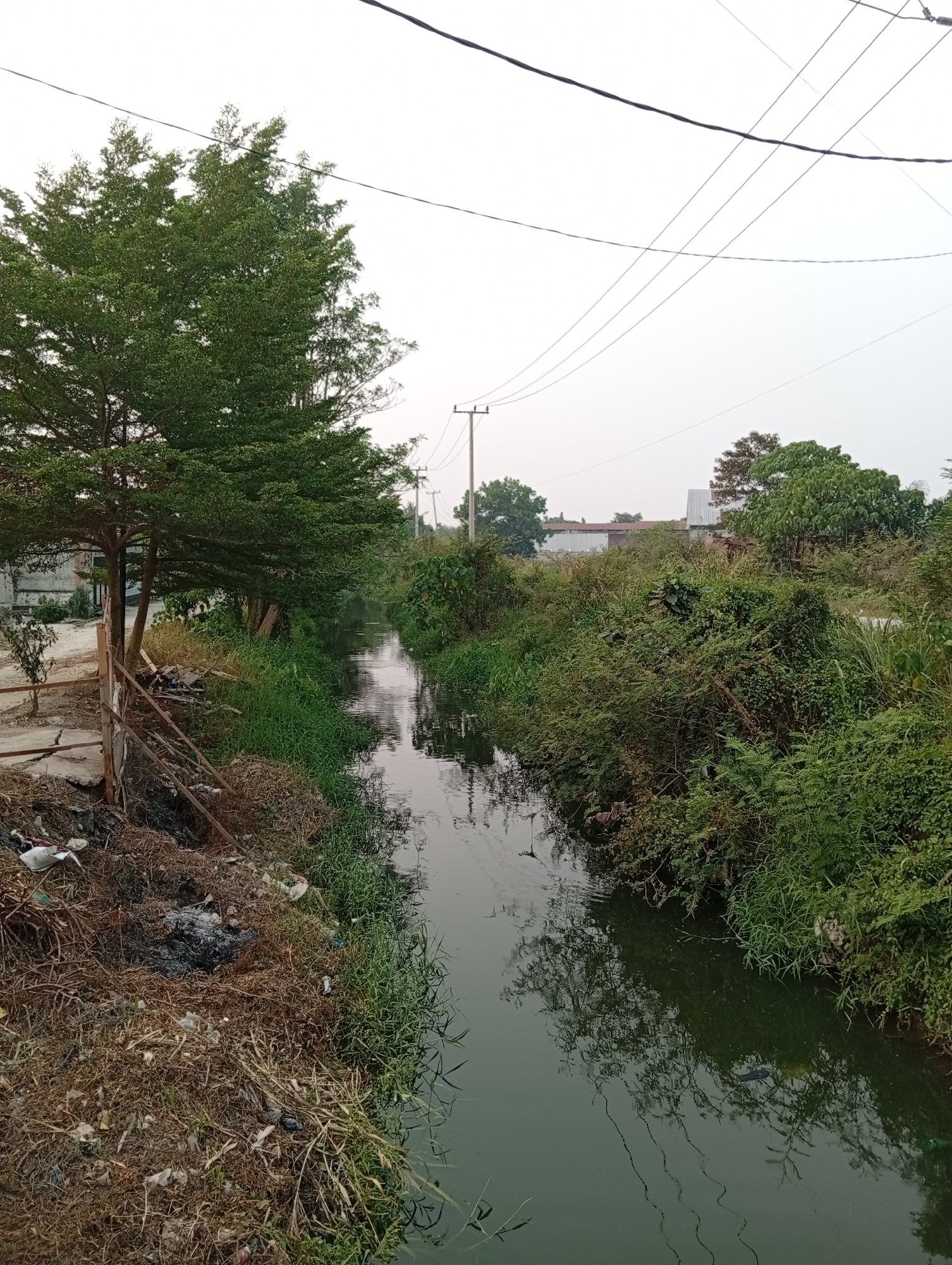 The image depicts a narrow waterway bordered by dense vegetation on both sides, situated in Kualu, Indonesia. On the left bank, a large tree with a distinct umbrella-like canopy dominates the foreground, casting a shadow on the path beside it. The path is a mix of dirt and broken concrete, with scattered debris including plastic bags and burnt material. A rustic wooden fence runs along the edge of the path. The waterway itself is dark and reflects the surrounding trees and the overcast sky. The right bank is overgrown with various types of greenery, creating a lush and somewhat wild appearance. In the background, several utility poles with electrical wires crisscross the sky, and some buildings with metal roofs are visible amongst the trees, suggesting the area is on the outskirts of a populated region. The overall impression is one of an undeveloped or semi-developed area adjacent to a natural watercourse. There are no people or animals visible in the image.