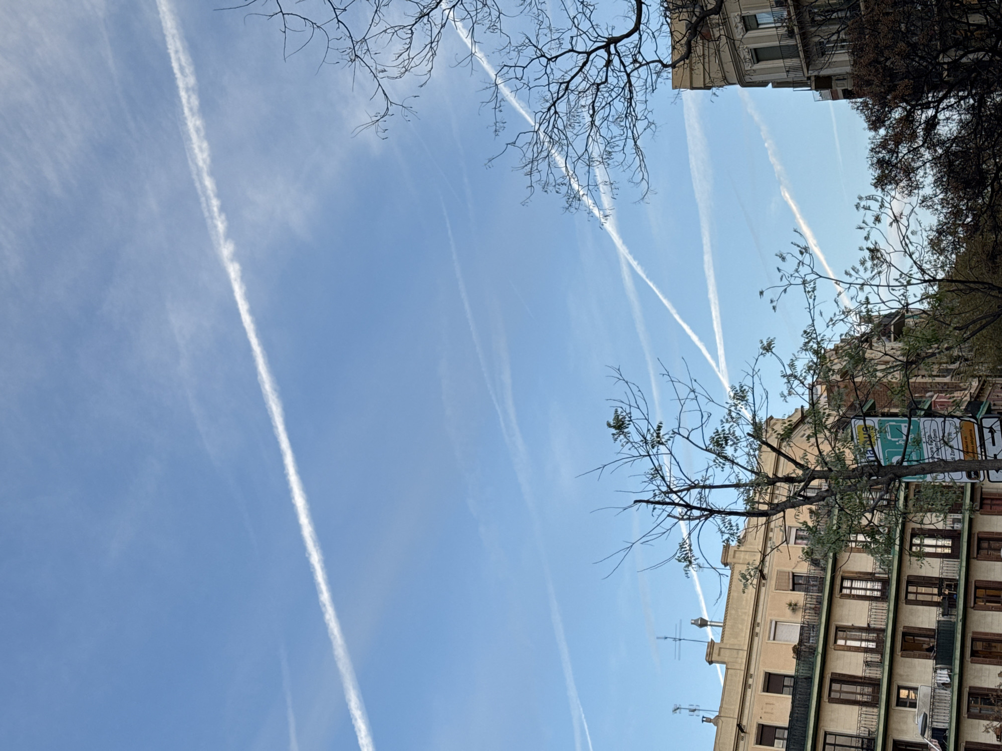 The image presents an urban landscape primarily focused on the sky above a street in Barcelona, Spain. The upper two-thirds of the frame are filled with a clear, bright blue sky containing numerous white aircraft contrails forming intersecting lines and diffused streaks.
The lower third of the image is occupied by the upper sections of traditional multi-story buildings and the intricate, mostly bare branches of several deciduous trees. On the left, a cream-colored building with at least five visible floors features dark brown window frames, closed shutters, and wrought iron balconies on each level. The building's flat roof is adorned with multiple television antennas and a single cylindrical vent or chimney. On the right, a corner building, lighter in tone and similarly styled with balconies and ornate window surrounds, is partially visible.
The foreground is dominated by the dark, interwoven branches of dormant trees, some exhibiting sparse green leaves, which partially obscure the buildings and a street sign located near the center-right. The visible portion of the street sign includes text in Catalan, specifically "Residència veïns" (Resident's parking), confirming the location as Barcelona. No individuals, vehicles, or explicit actions are discernible within the frame. The scene is illuminated by natural daylight.
