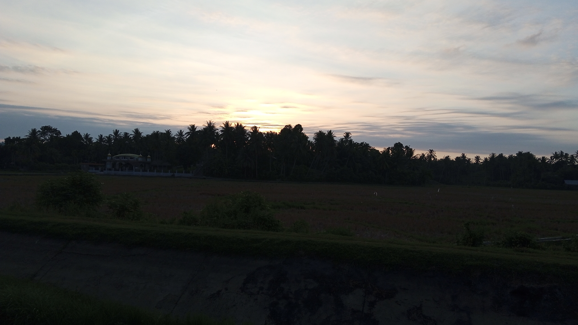 A panoramic view of a rural landscape in Uteunreutoh, Indonesia, features a silhouetted treeline dominated by palm trees against a twilight sky. The setting sun casts a soft glow, visible through gaps in the foliage. In the middle ground, a building with a domed roof and arched entrances, likely a mosque or a public building, is partially obscured by the trees. The foreground consists of a dark, sloped embankment covered in grass, overlooking a field that appears to have been recently harvested, with rows of stubble visible. The sky is a blend of pale oranges, yellows, and grays, with scattered clouds creating a textured effect. The overall impression is one of tranquility and natural beauty at the end of the day.