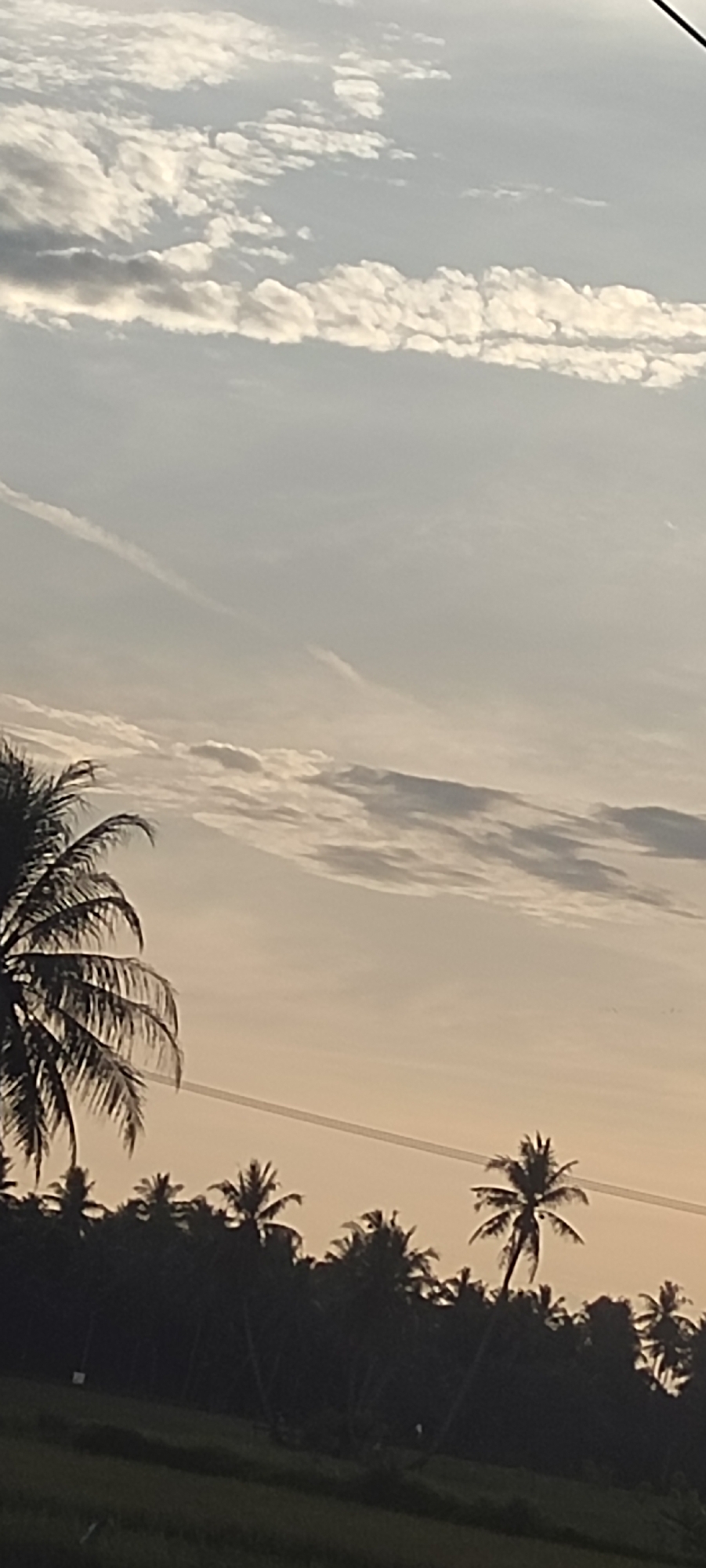 The image shows a landscape in Kruengseupeng, Indonesia, featuring palm trees silhouetted against a cloudy sky at dawn or dusk. A rice field is visible in the foreground. Overhead power lines cut across the middle ground. The sky is filled with layered clouds, with some appearing white and fluffy at the top, while the lower part has a warmer, orangish hue.