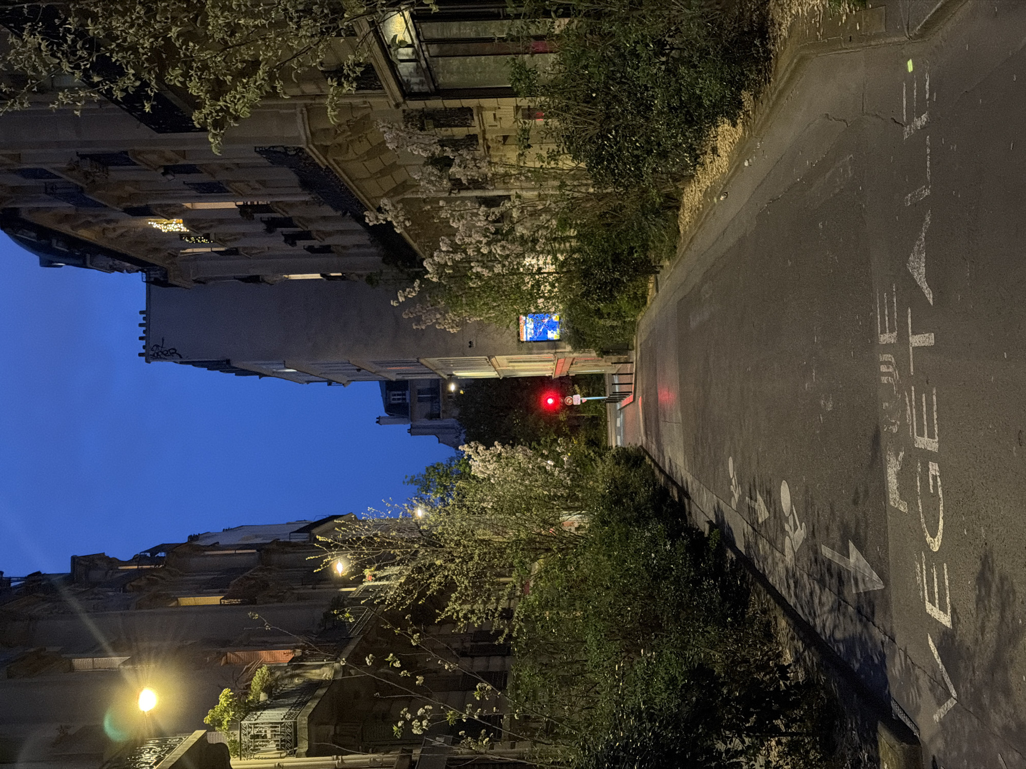 The image depicts a street in Paris, France, at dusk or night. The street is illuminated by streetlights and traffic signals. Buildings line either side of the street, with their architectural details visible in the dim light. Trees and bushes grow along the edges of the street, adding a touch of greenery to the urban scene. A traffic signal is visible at the end of the street. Markings on the pavement indicate a shared pedestrian and bicycle path, with an arrow indicating the direction of travel. The word "VEGE" is written on the pavement. The sky is a deep blue, indicating that it is either dusk or the beginning of the night. The scene is calm and quiet, with no people visible in the frame.