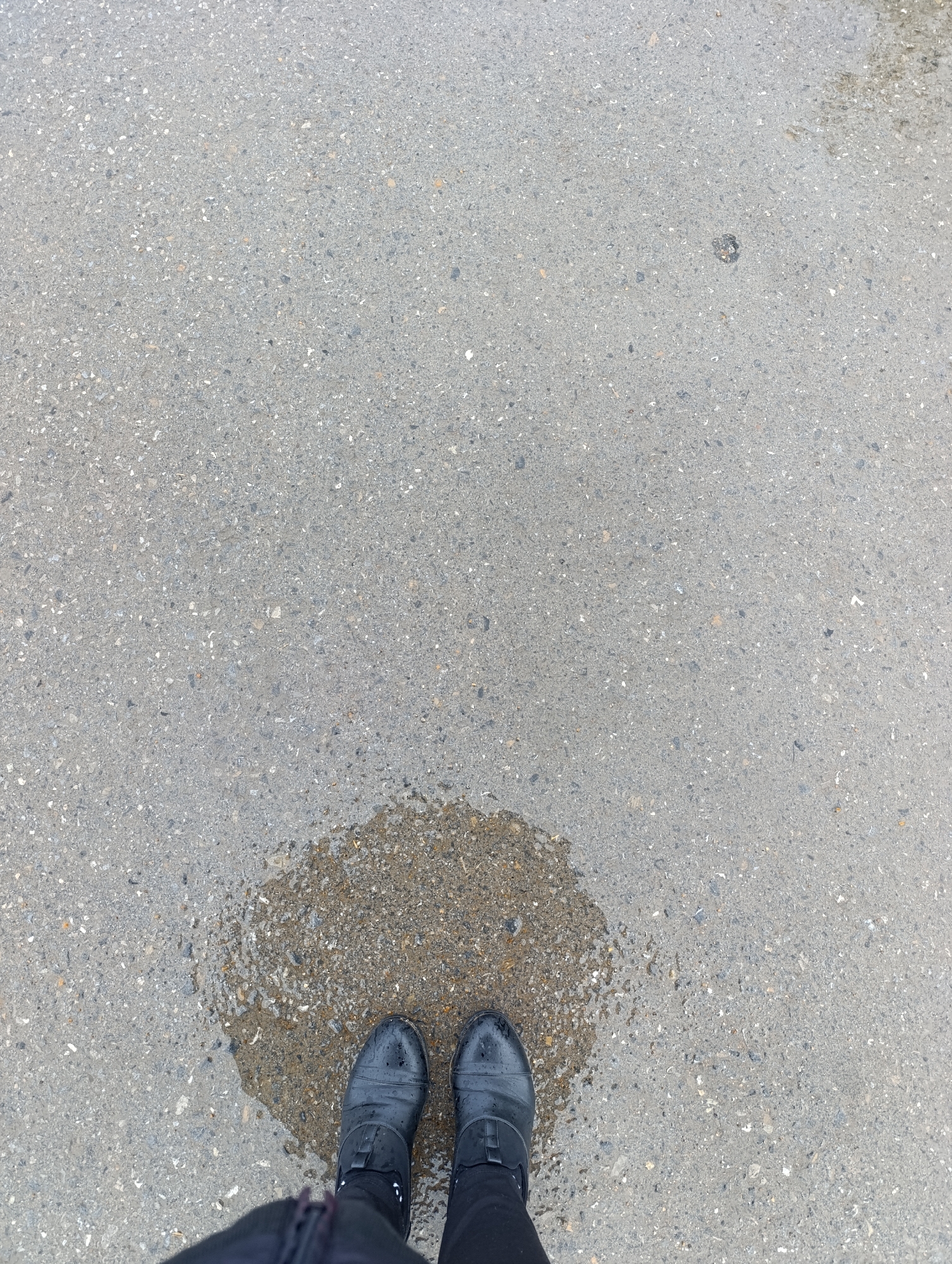The image shows a pair of black waterproof boots standing in a puddle on a grey asphalt surface. The asphalt is speckled with small grey and white stones. The puddle reflects the textured surface of the asphalt. The perspective is from above, looking down at the person's feet and the ground. The background is a continuation of the asphalt surface, with some subtle variations in texture and color. The overall impression is one of a damp, outdoor environment, possibly after rain.