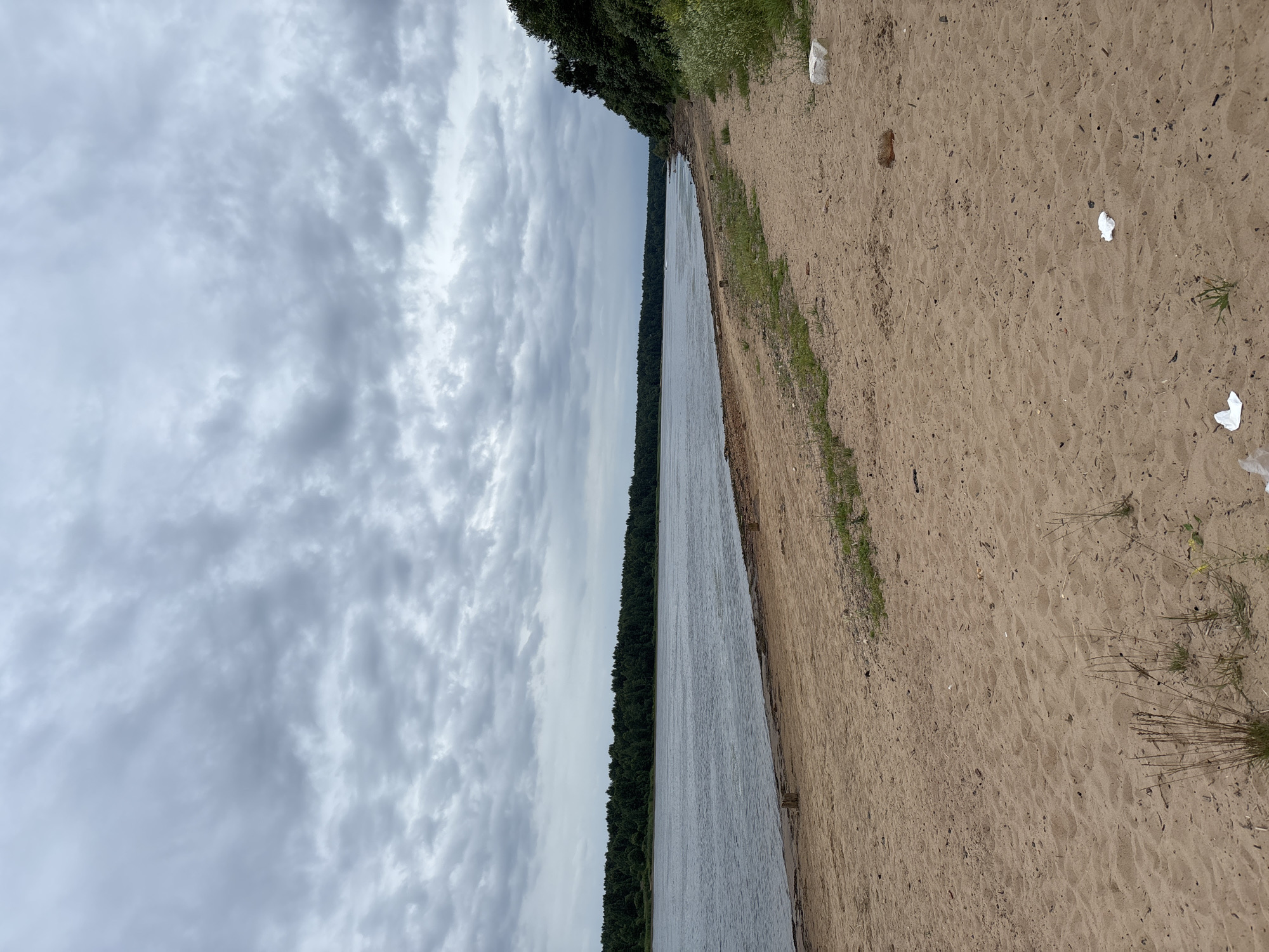 The image shows a sandy beach along a wide river in Nevskaya Dubrovka, Russia. The sky is overcast with gray clouds. A dense forest lines the opposite bank of the river. The beach is mostly empty, with some sparse vegetation and debris scattered on the sand, including what appears to be white plastic bags and wrappers. In the distance, a small boat is visible on the river.