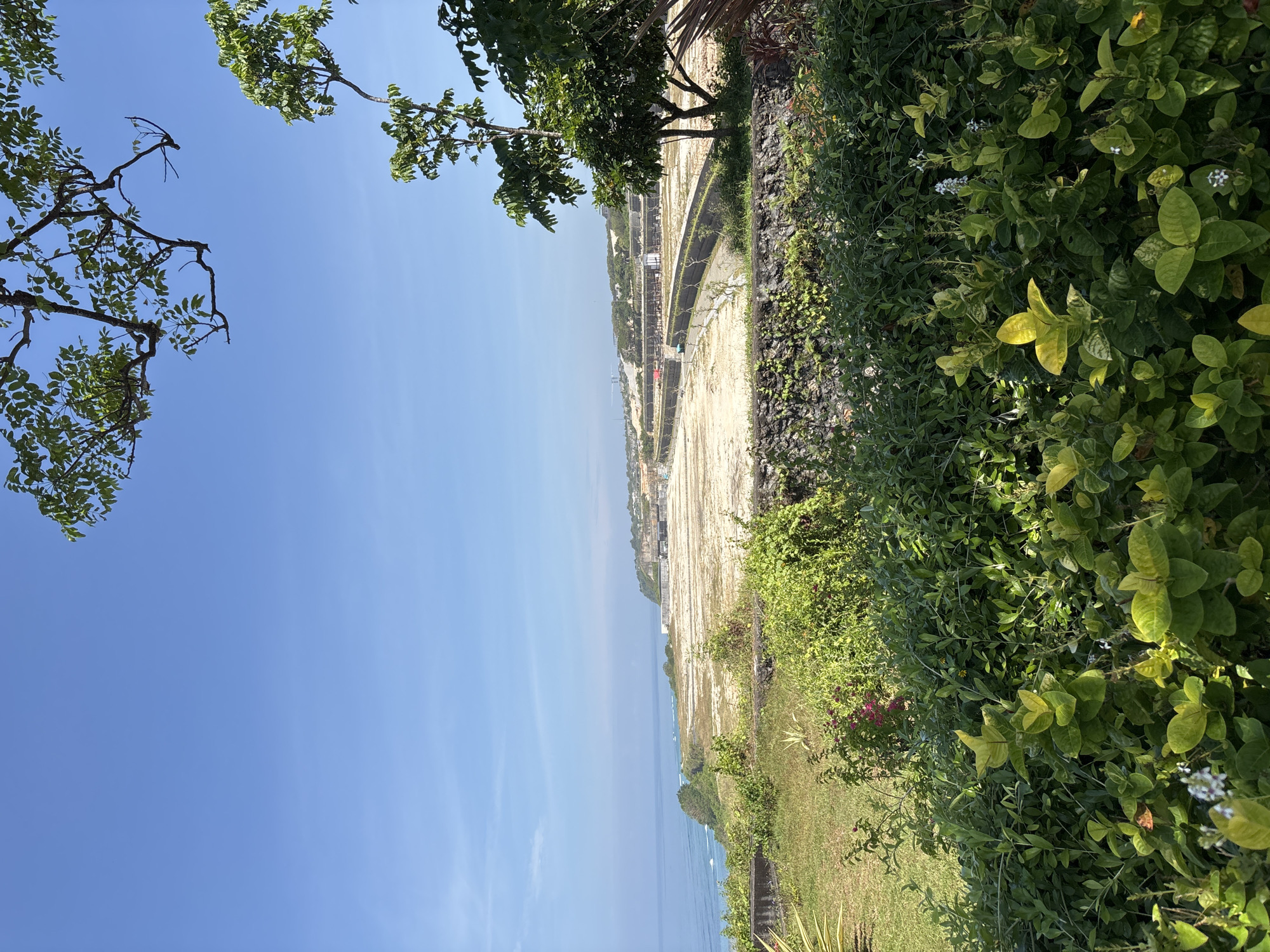 The image shows a coastal view from Kuta Selatan, Indonesia. In the foreground is lush green vegetation with shrubs and some flowering plants. Beyond the vegetation, a construction site is visible with light-colored sandy terrain and what appears to be the initial stages of building structures. Further out, the blue ocean meets the sky with a visible horizon. The sky is clear with a light haze. Trees with green foliage frame the top and left sides of the view.