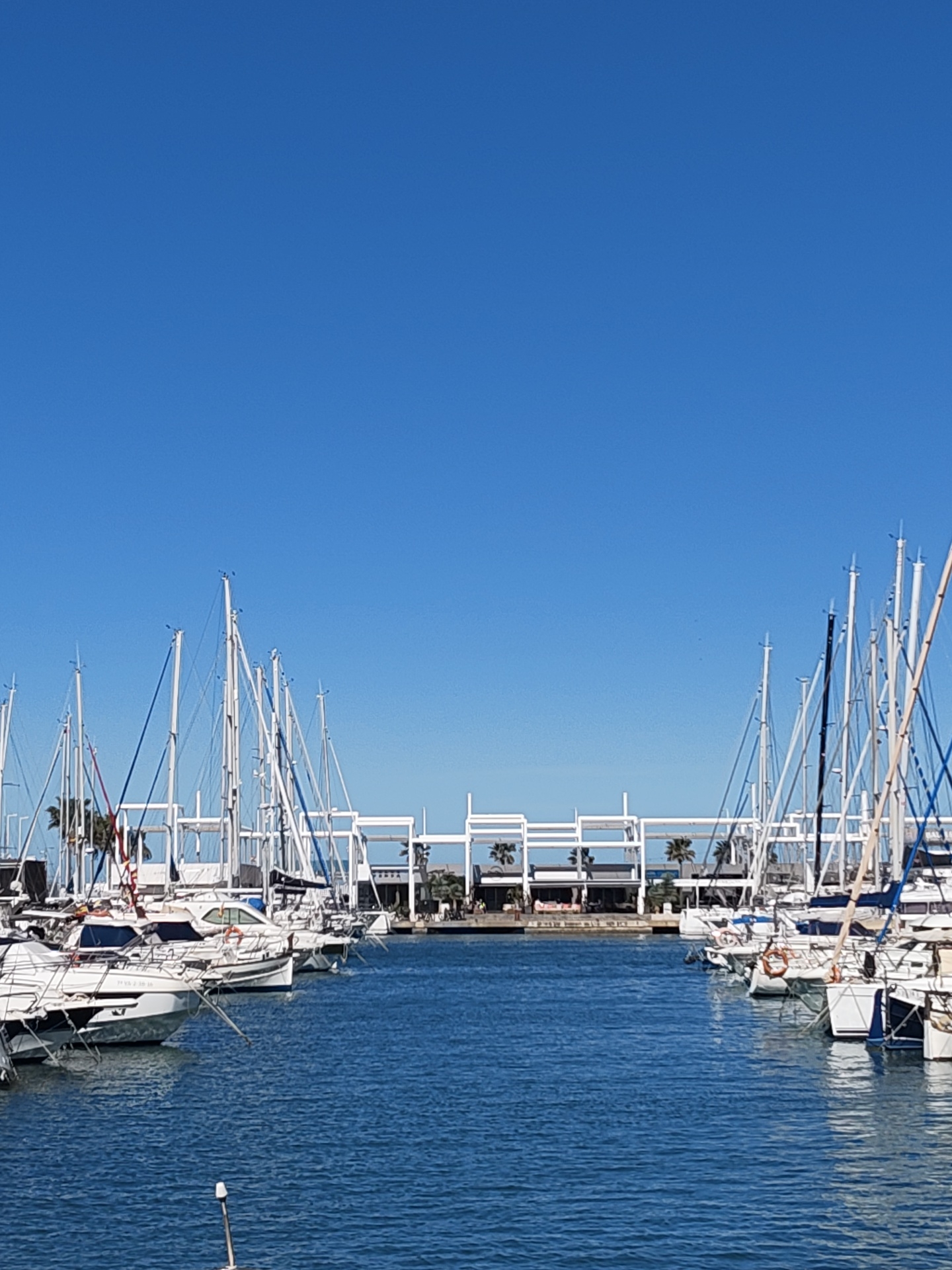 The image depicts a harbor scene in Dénia, Spain, filled with numerous sailboats docked along a channel of water. The boats are neatly arranged, with their masts and rigging creating a network of lines against the clear blue sky. In the background, there is a white, rectangular structure, possibly a building or a dockside facility. Palm trees are visible between the sailboats and the white structure, adding to the scene's location in Dénia, Spain. The water is calm and a deep blue, reflecting the sky and the boats. There is no explicit presence of people in the image.