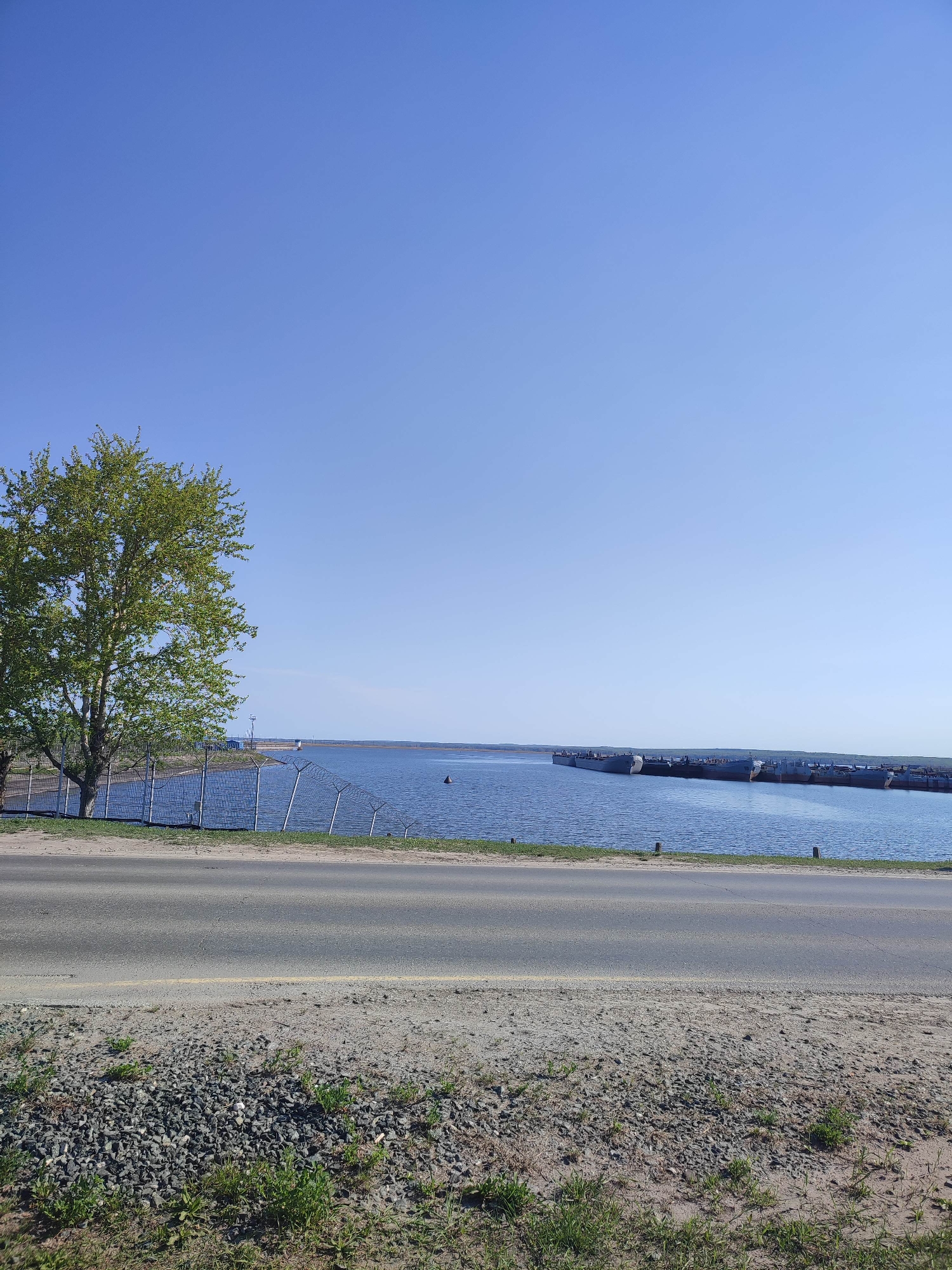 The image presents a landscape view under a clear blue sky. A tree with green leaves stands on the left side of the frame, adjacent to a wire fence that runs along the edge of a body of water. The water appears calm with a series of barges or boats docked in the distance. In the foreground, a gray asphalt road is visible, with a gravel shoulder that fades into a grassy area in the bottom of the frame. The location appears to be near a waterway.
