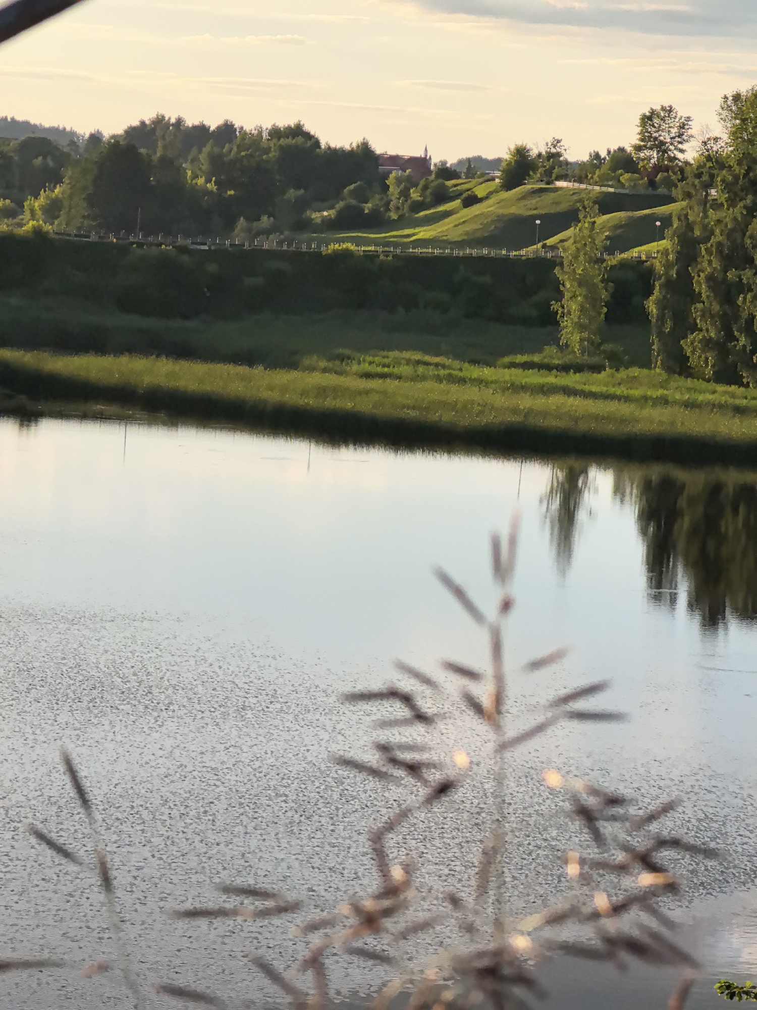 A wide shot depicts a tranquil body of water in the foreground, reflecting the sky and distant trees. The water is textured with ripples, creating a speckled appearance. In the middle ground, a lush green embankment borders the water, lined with trees. Beyond the embankment, a gentle, grassy hill rises, dotted with small trees and lampposts. A red-roofed building is visible on the far right of the hill. The sky above is a soft gradient of pale yellow and white, with wispy clouds. In the immediate foreground, out of focus, are delicate brown seed heads of a plant. The overall scene evokes a peaceful, natural setting, possibly a park or nature reserve, in an unknown urban location.