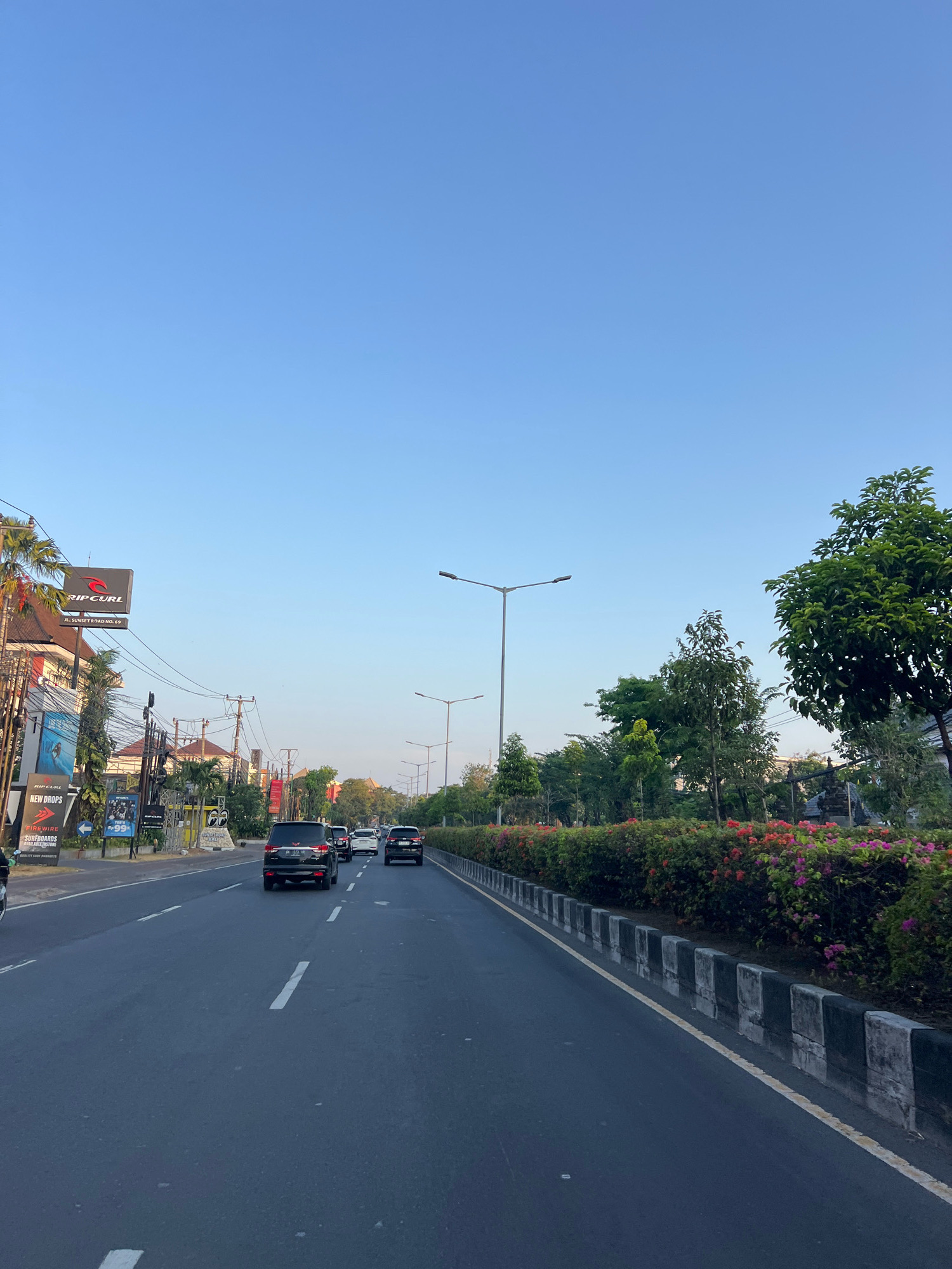 The image depicts a street scene in Kuta, Indonesia, with a clear blue sky overhead. The road is paved and marked with white lines, and several vehicles are traveling in the same direction. On the left side of the road, there are buildings with businesses, including a Rip Curl store with signage and advertisements. There are also palm trees and utility poles with electrical wires. The right side of the road features a median with lush greenery, including hedges, flowering bushes in pink and red, and trees. Streetlights are visible along the road. The overall environment suggests a commercial or tourist area with ongoing traffic.