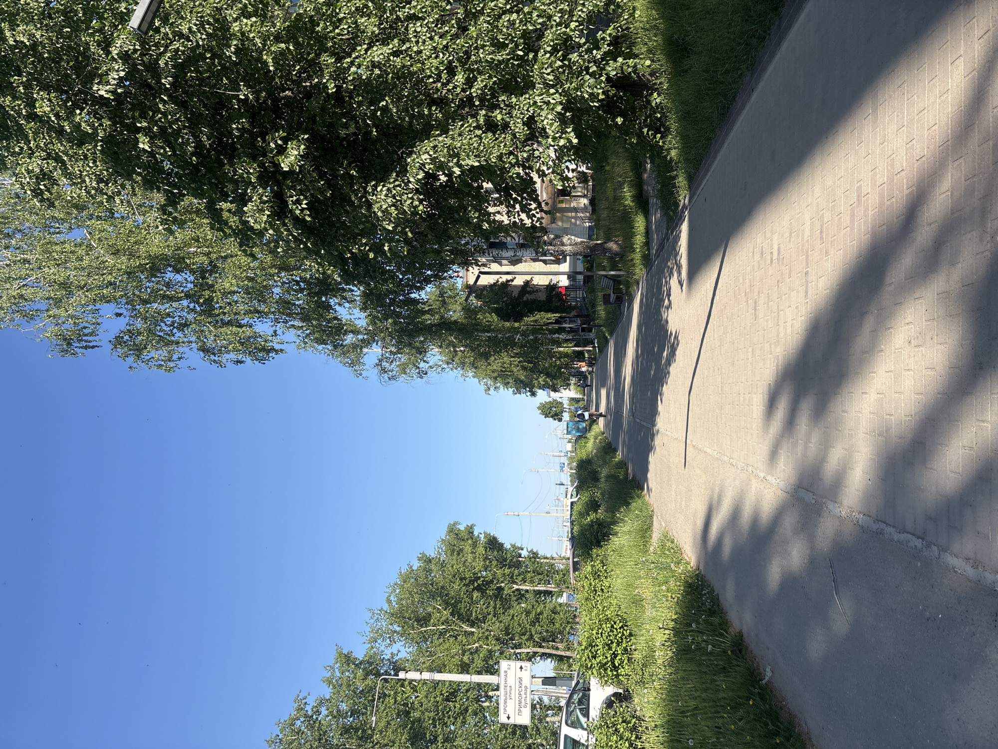 A sunny day on a pedestrian walkway lined with trees in Chaikovsky, Russia. The walkway is paved with light-colored blocks and has a grassy edge. Shadows from the trees dapple the walkway. A sign indicates directions to "Promyshlennaya Street" and "Primorsky Boulevard". A white van is parked near the sign. In the distance, utility poles are visible along the street. People walk in the distance. Buildings are seen partially obscured by trees. The sky is clear blue.