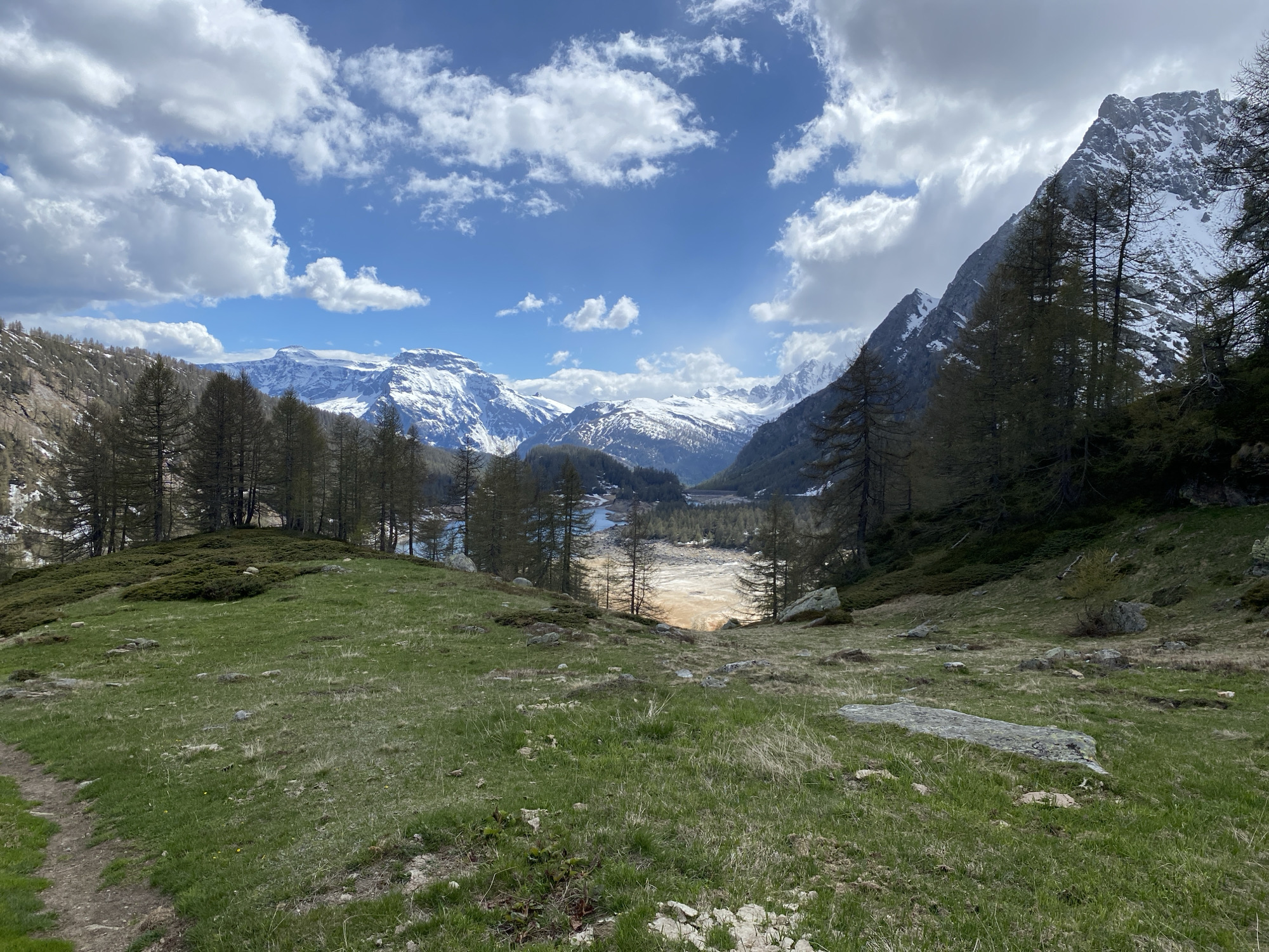 The image depicts a mountainous landscape near Baceno, Italy. A green meadow occupies the foreground, transitioning to a valley containing a lake or partially dried up riverbed with a sandy appearance. Tall coniferous trees dot the landscape, and snow-capped mountains rise in the background under a sky with scattered clouds and patches of blue. No people are visible.