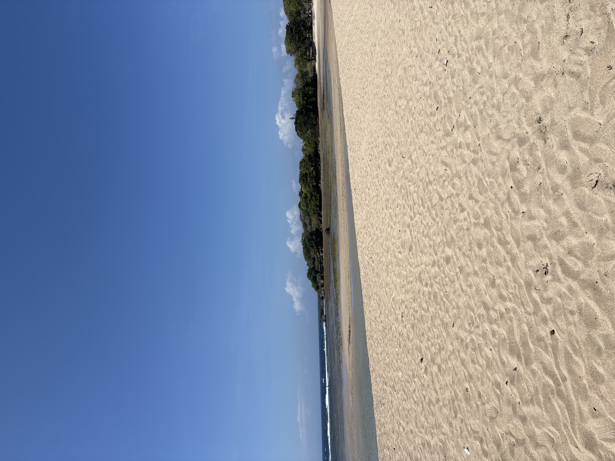 The image depicts a wide, sandy beach with the ocean to the left and lush green trees lining the shore in the distance. The sand is light brown and shows ripple patterns, suggesting the tide has recently receded or wind has been blowing. Small pieces of debris, such as dried leaves and twigs, are scattered across the sand. The ocean water is shallow and appears calm, with gentle waves visible near the shore. The sky is a clear, vibrant blue, with a few wispy white clouds scattered on the horizon. The sun is bright, casting shadows and highlighting the texture of the sand, indicating it is likely daytime, possibly midday or early afternoon. The scene evokes a sense of tranquility and natural beauty. The location is identified as Kuta Selatan, Indonesia, a region known for its beaches. There is no visible text in the image.