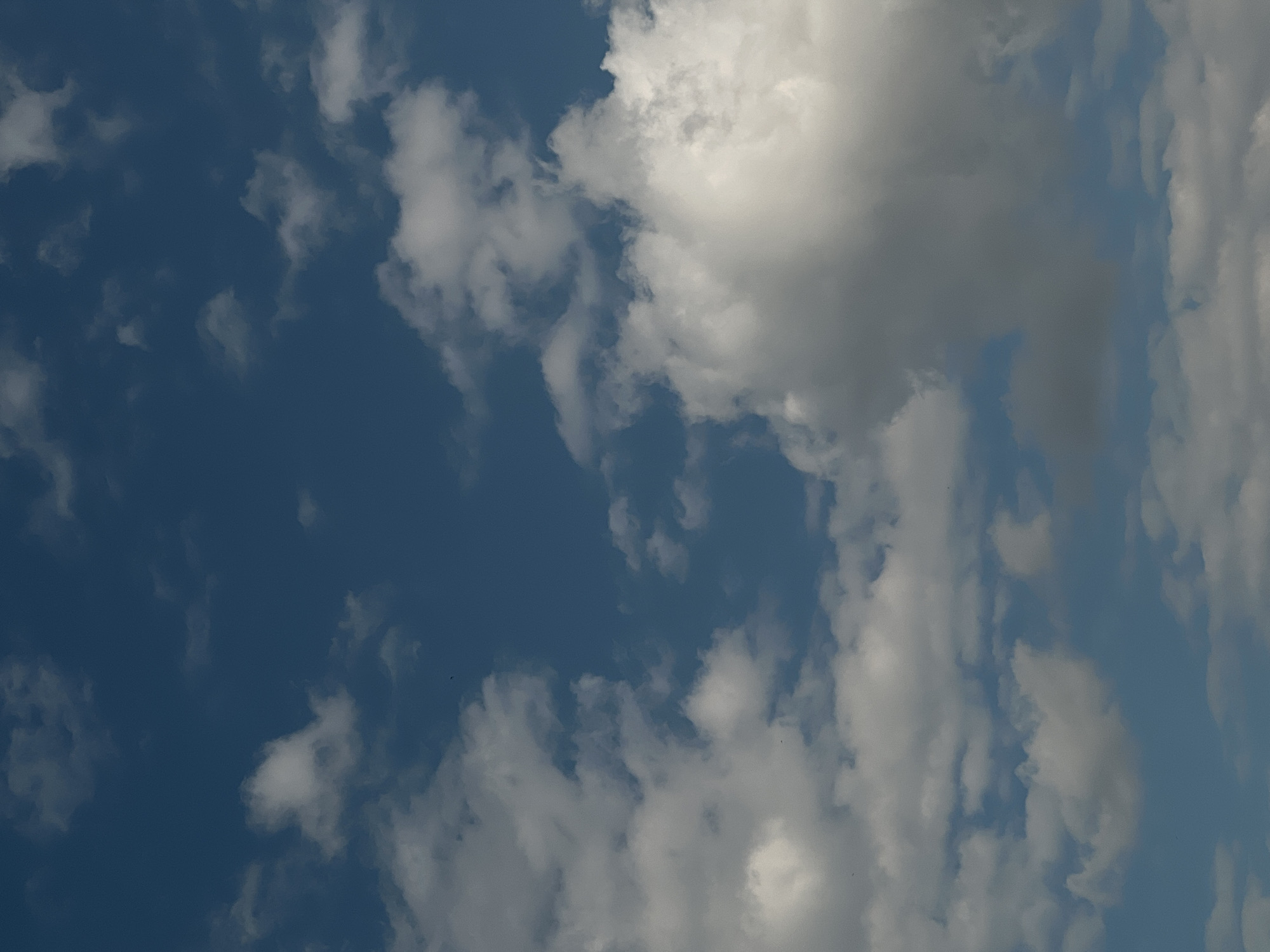 The image is a close-up, vertical shot of a blue sky filled with a variety of white and gray clouds. The clouds range from wispy, scattered formations to larger, more dense cumulus clouds. Some clouds appear bright white, indicating they are well-lit by the sun, while others have darker, shadowed undersides. The sky is a clear, deep blue in the areas not obscured by clouds. There is no indication of any specific location within the city of Ternopil, Ukraine, or any people, subjects, objects, or actions. The scene is purely a natural sky environment.